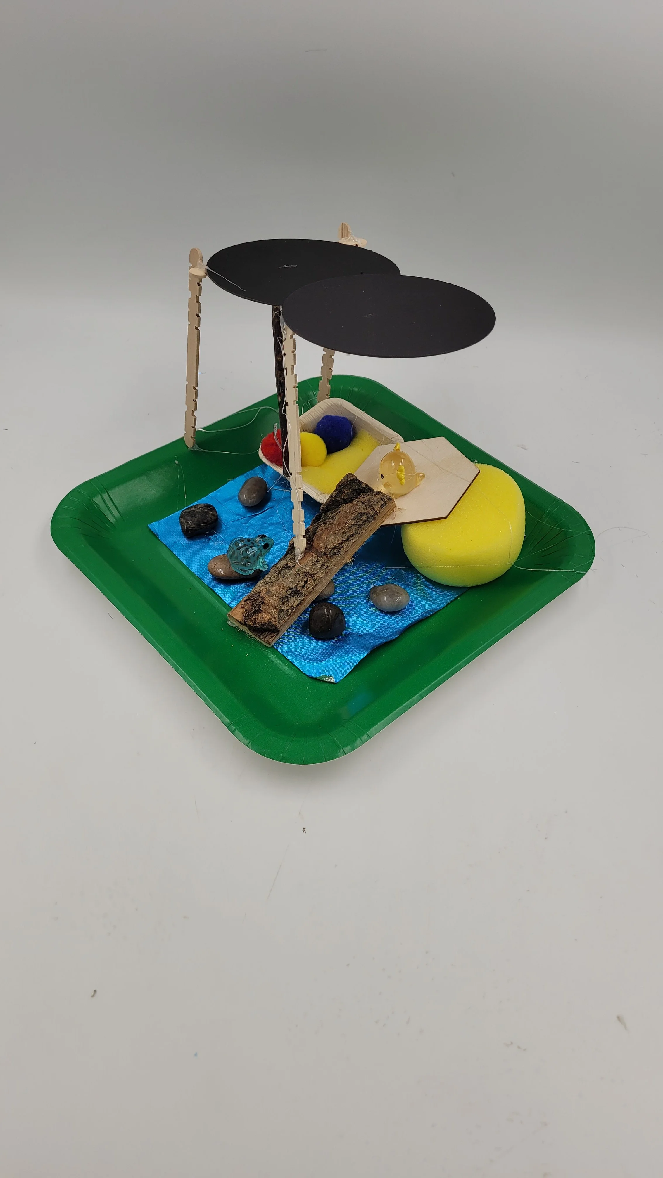 raingardens20261006_173113.jpg