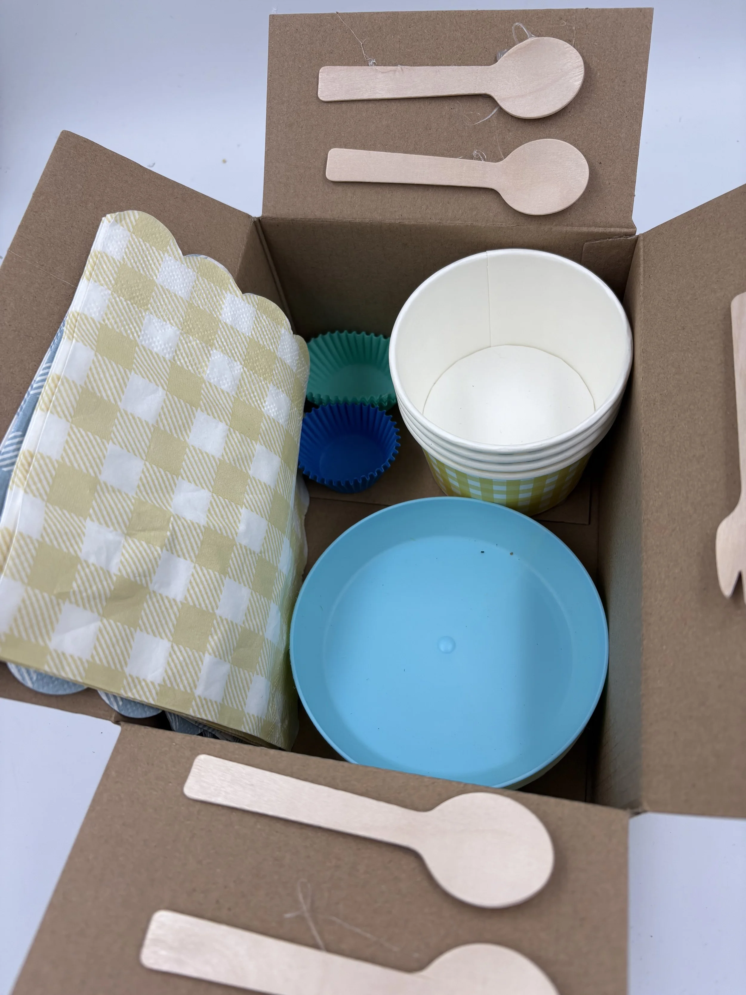 picnicsIMG_2719.jpeg