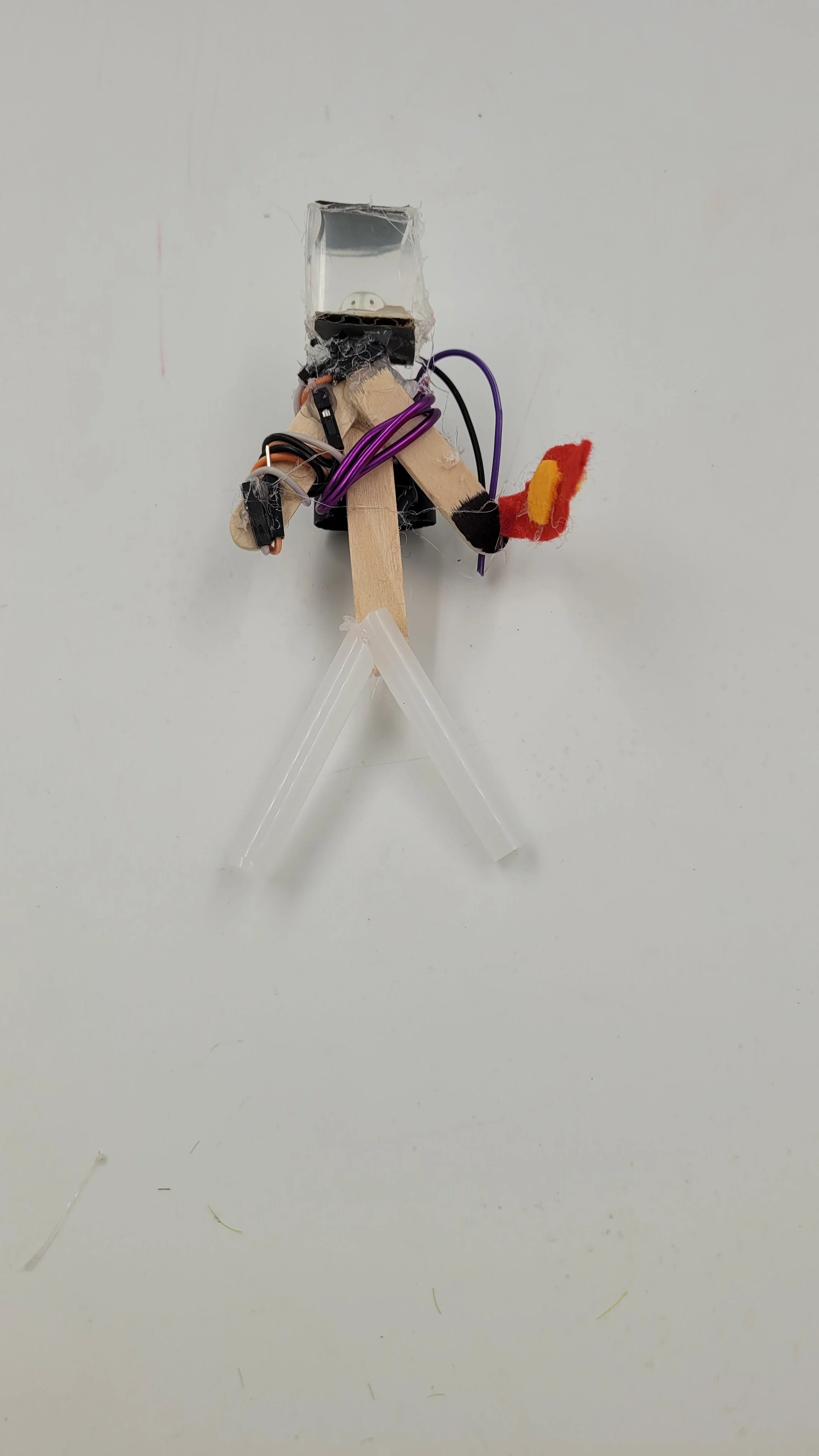 dolls20260528_153426.jpg