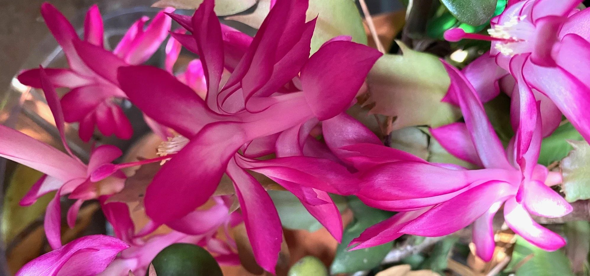 A Message for March 5, 2026