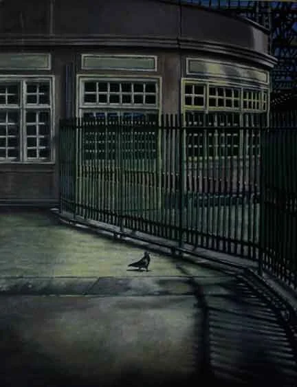 Waverley Pigeon&nbsp; oil on canvas 14”x16” available