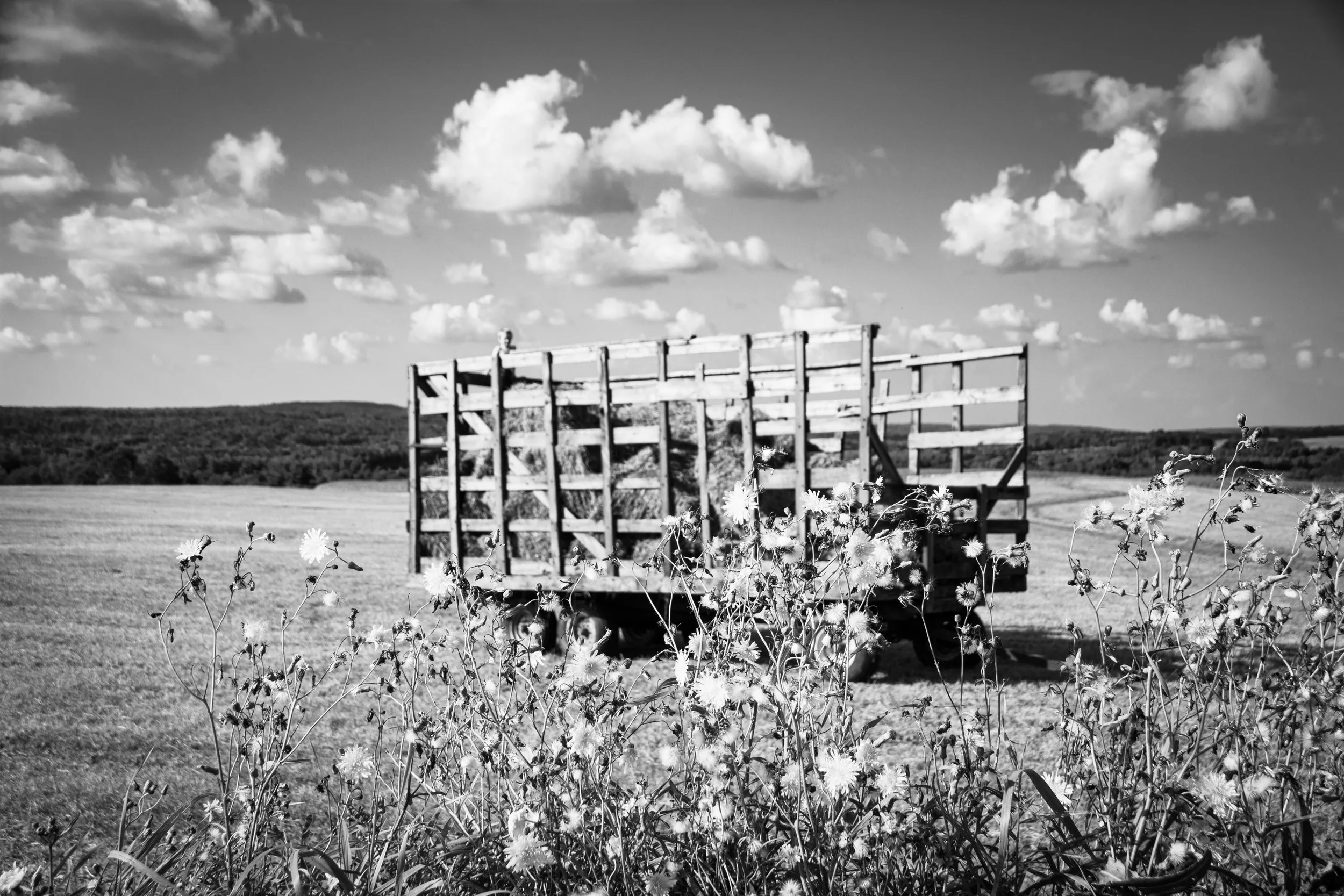60. 'Hay Baler in Training', Glossy photo print by Pennie Rand