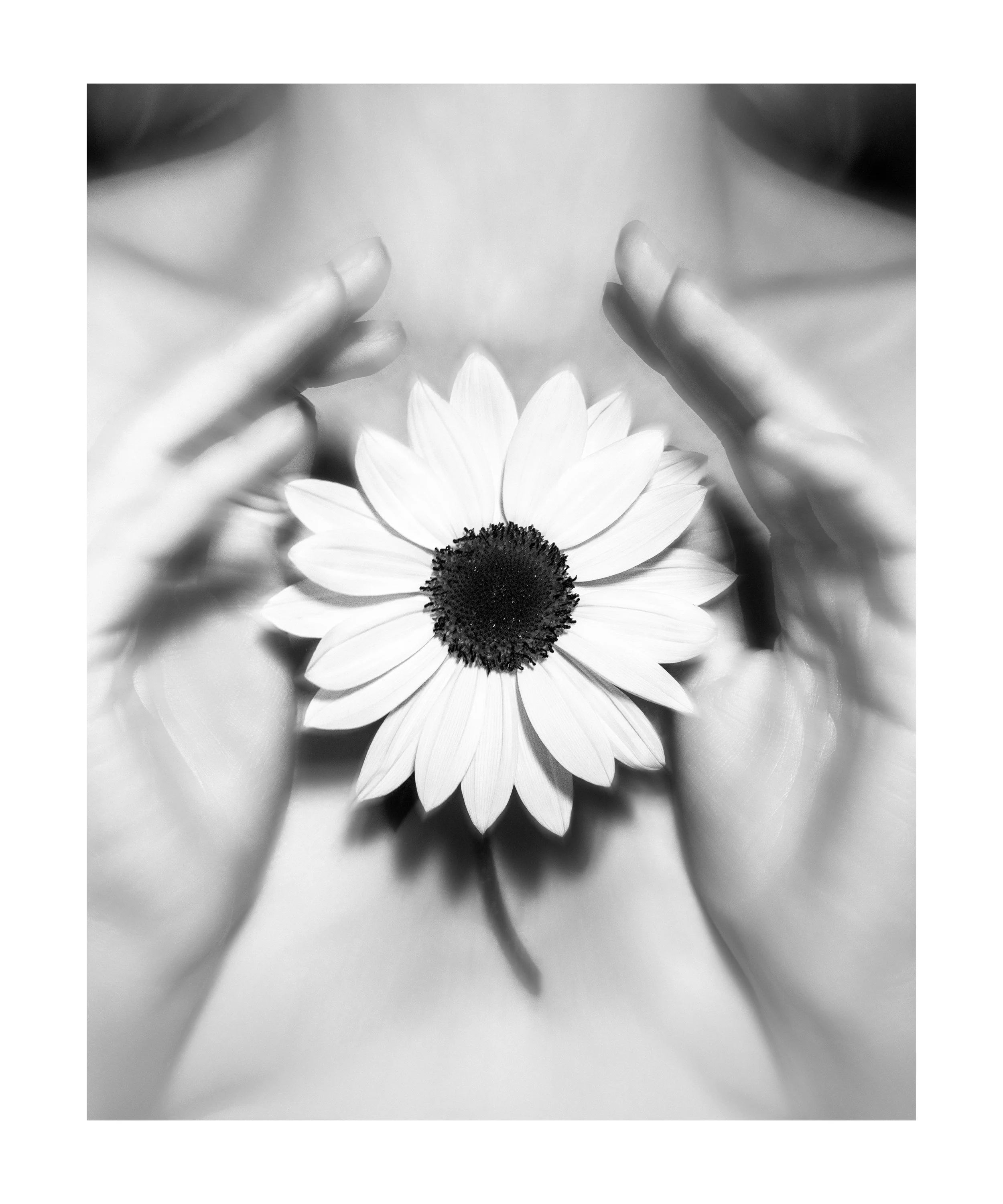48. 'Feel Into Your Blossoming, For Each Movement Through The Temple Of Life Is The Prayer And The Answer', Photography by Edwin Adrian Nieves
