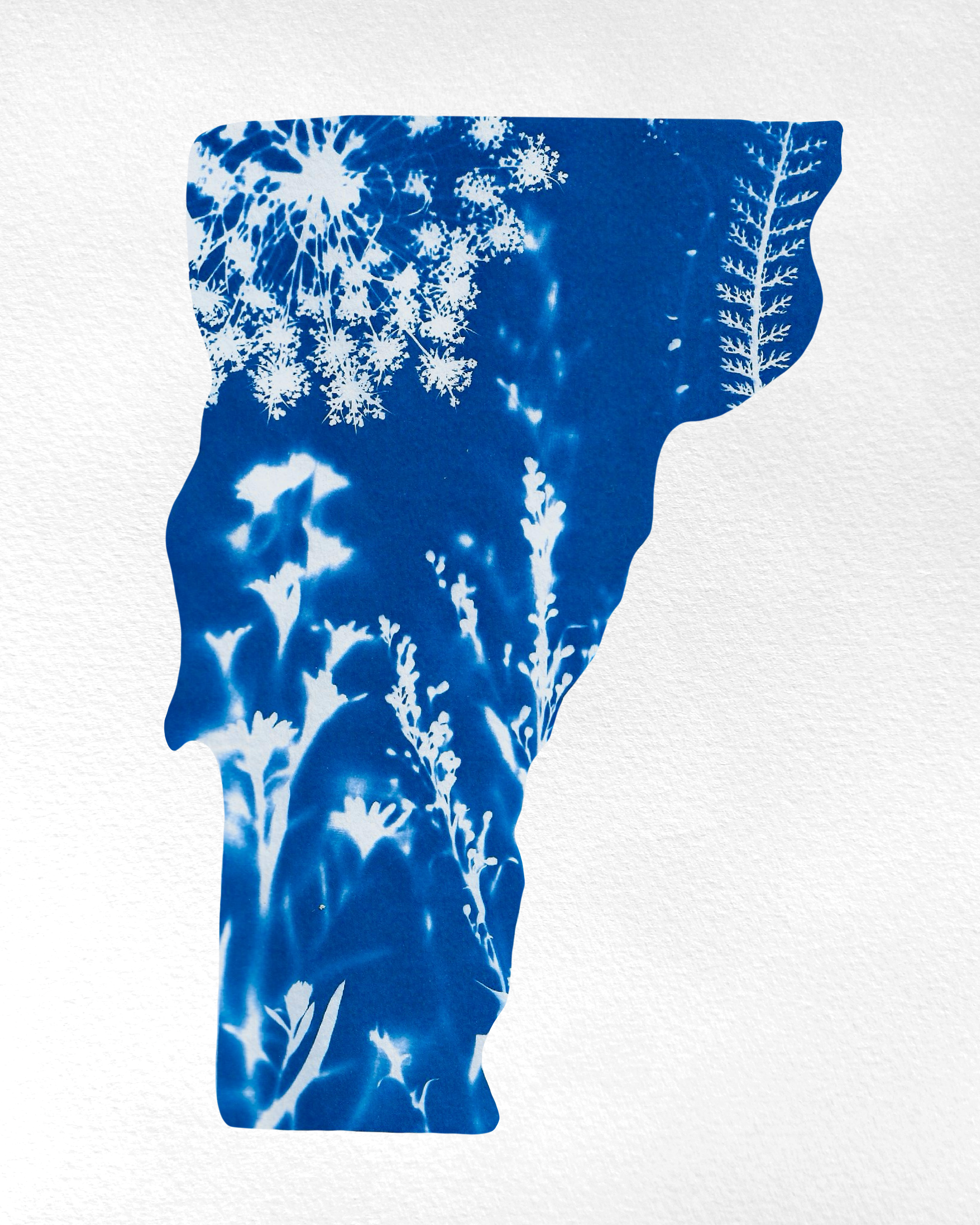 SEBA%20Cyanotype%20VT.png