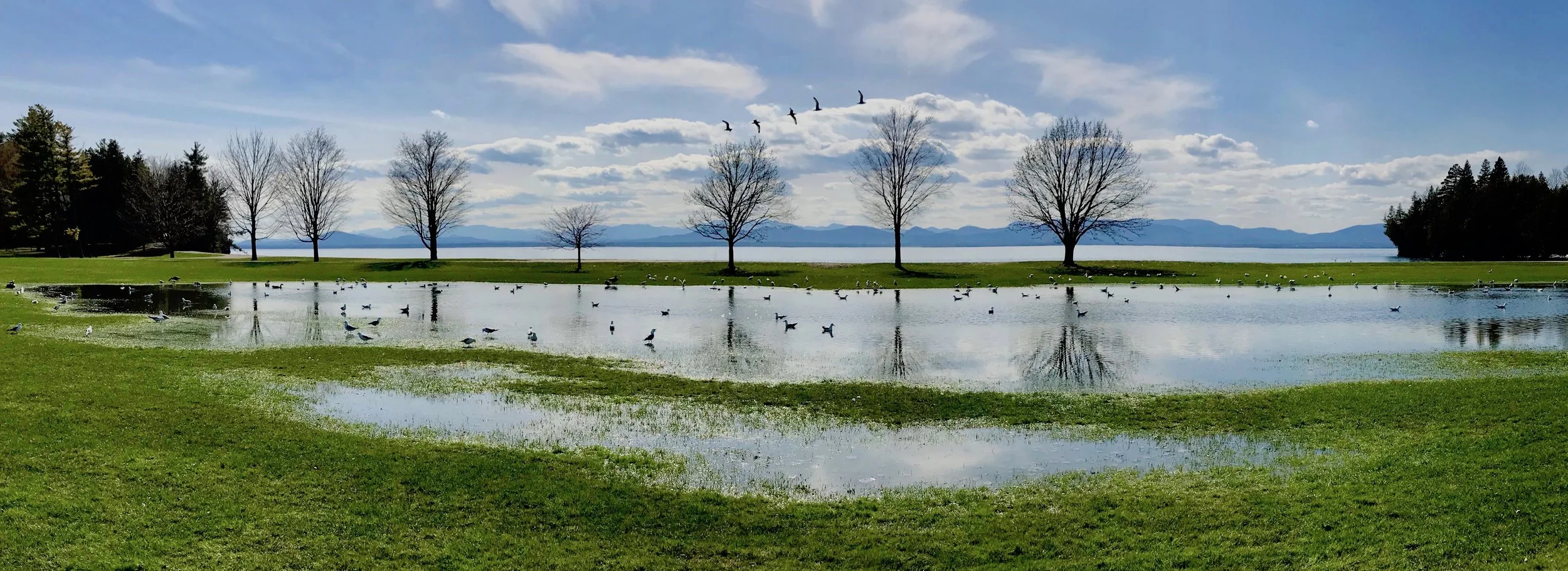 'Spring Floods, Lake Champlain' by Jeffrey Trubisz