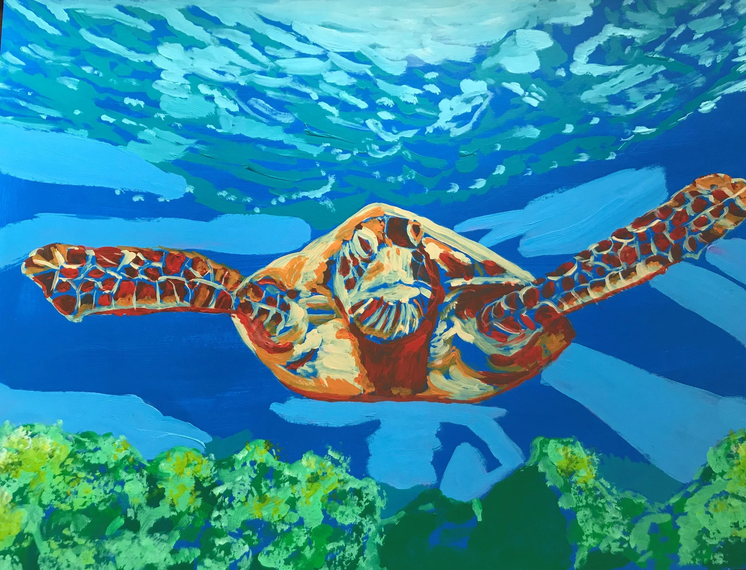leinwohl-%20acrylic%20sea%20turtle.jpg