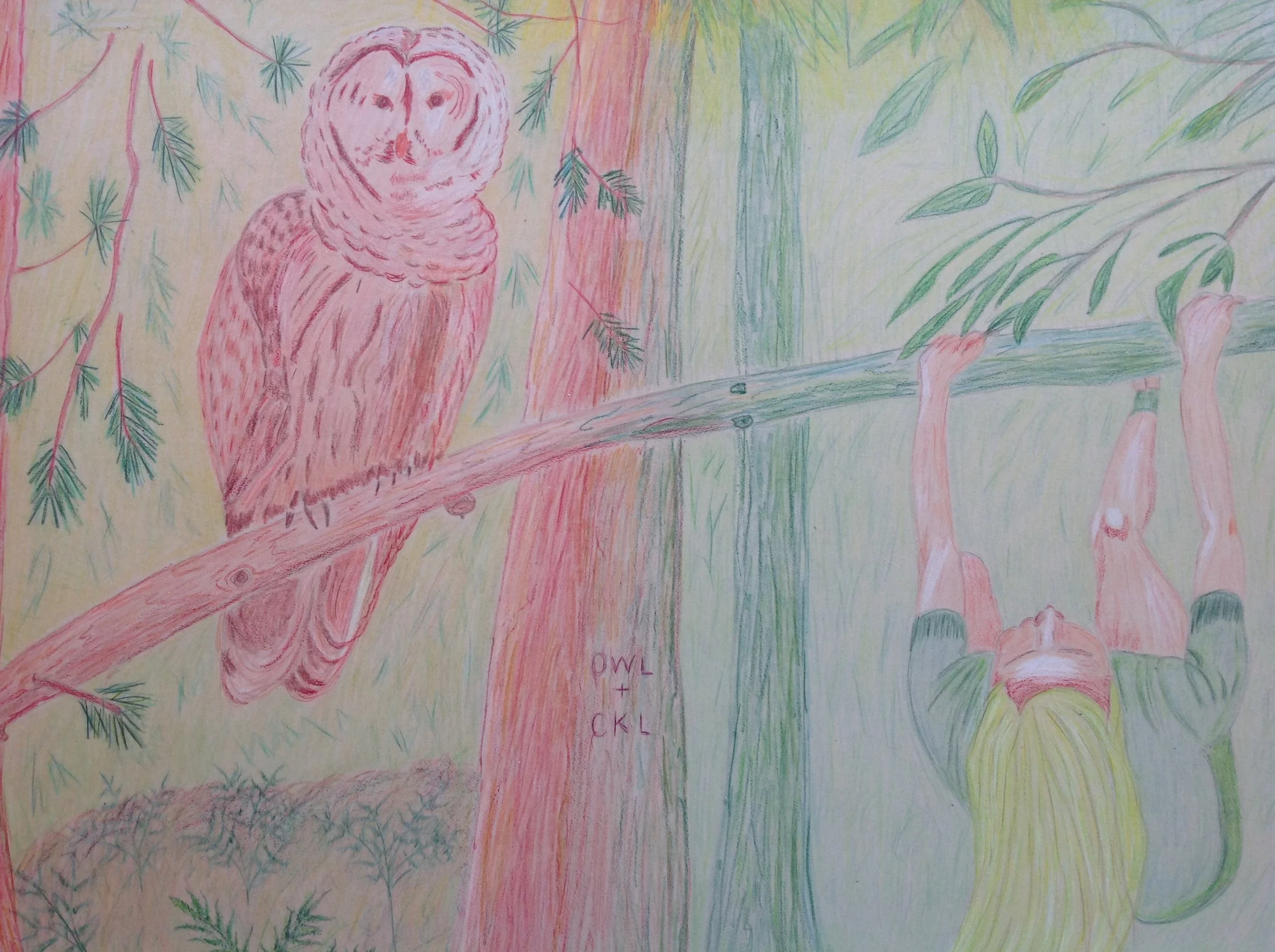 carol%20leinwohl%20OWL_CKL.JPG