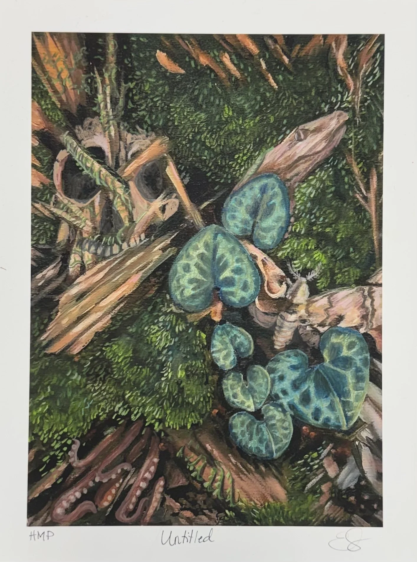HMP_ForestFinds.jpg