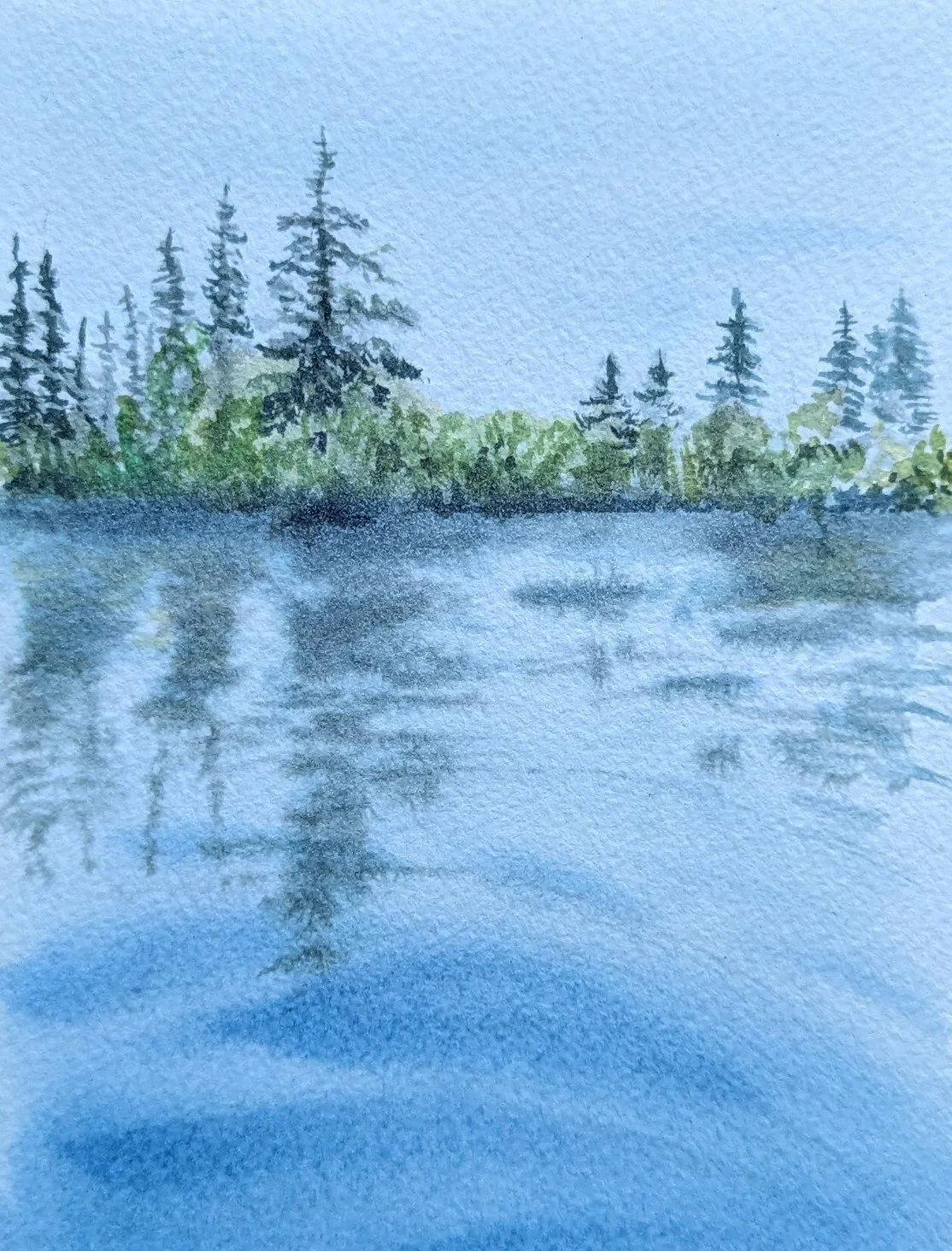 PXL_20260703_141746076.jpg