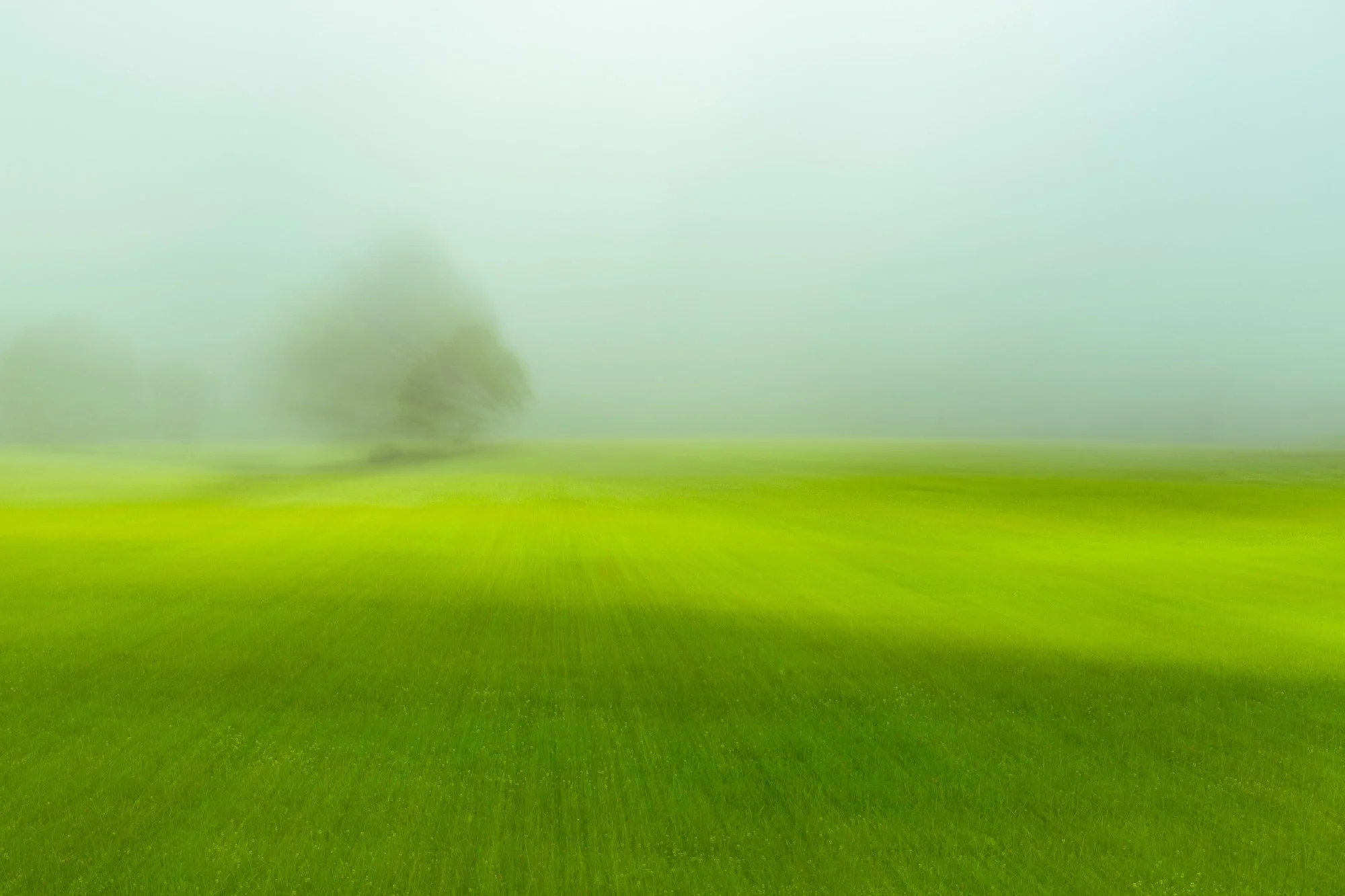 The%20Green%20Veil.jpg