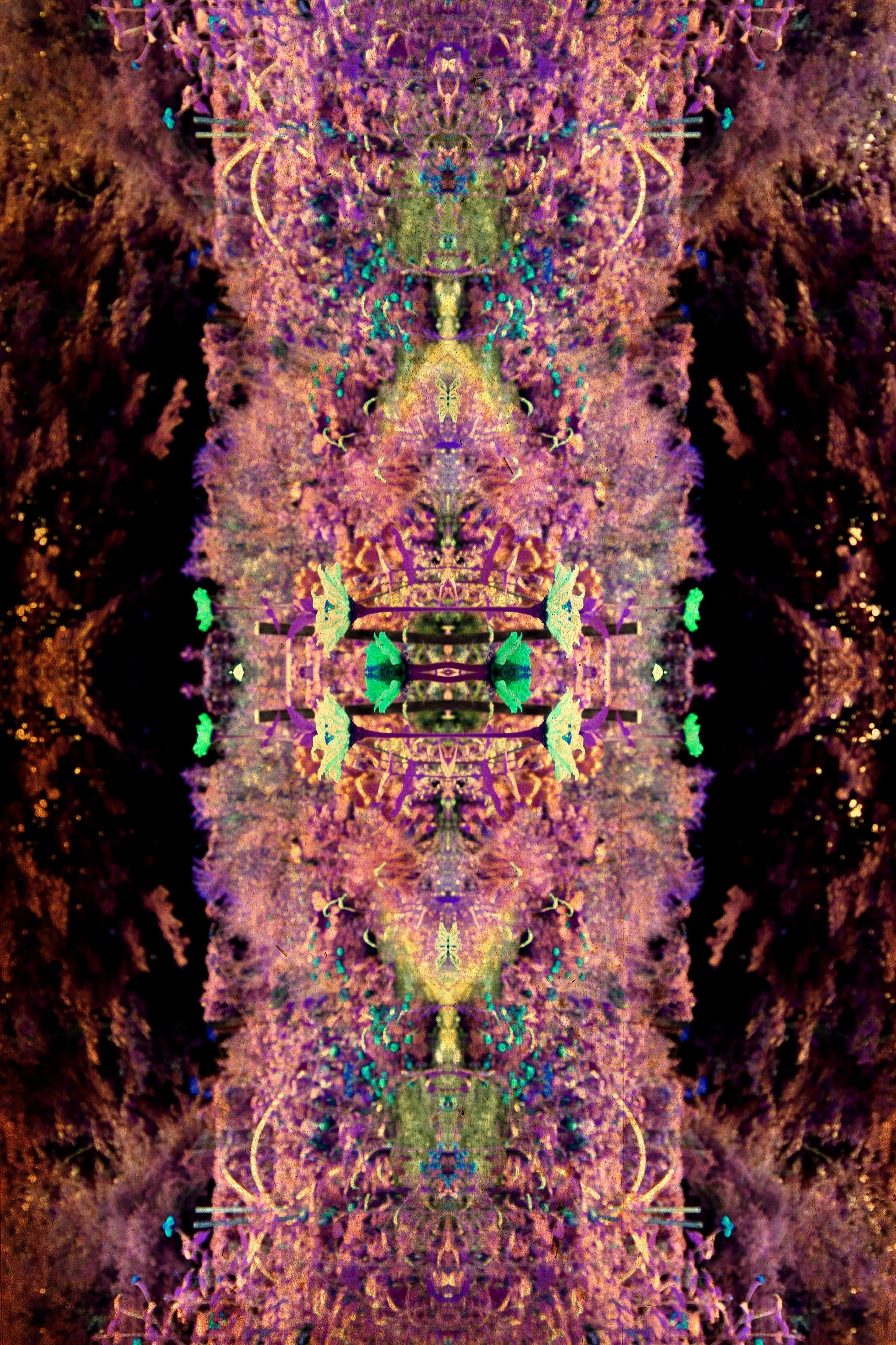 Magenta%20Oracle%20%E2%80%94%20The%20Threshold%20Between.jpeg