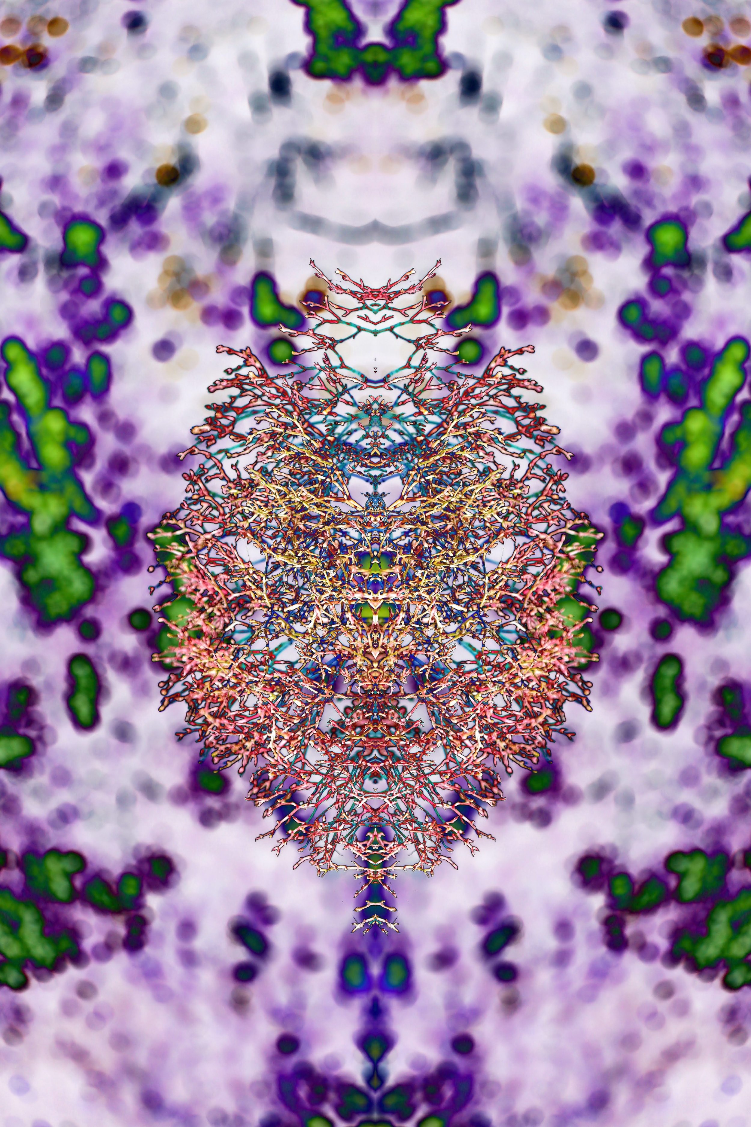 Winn%2C%20Julie_Nature%27s%20Brain.jpg