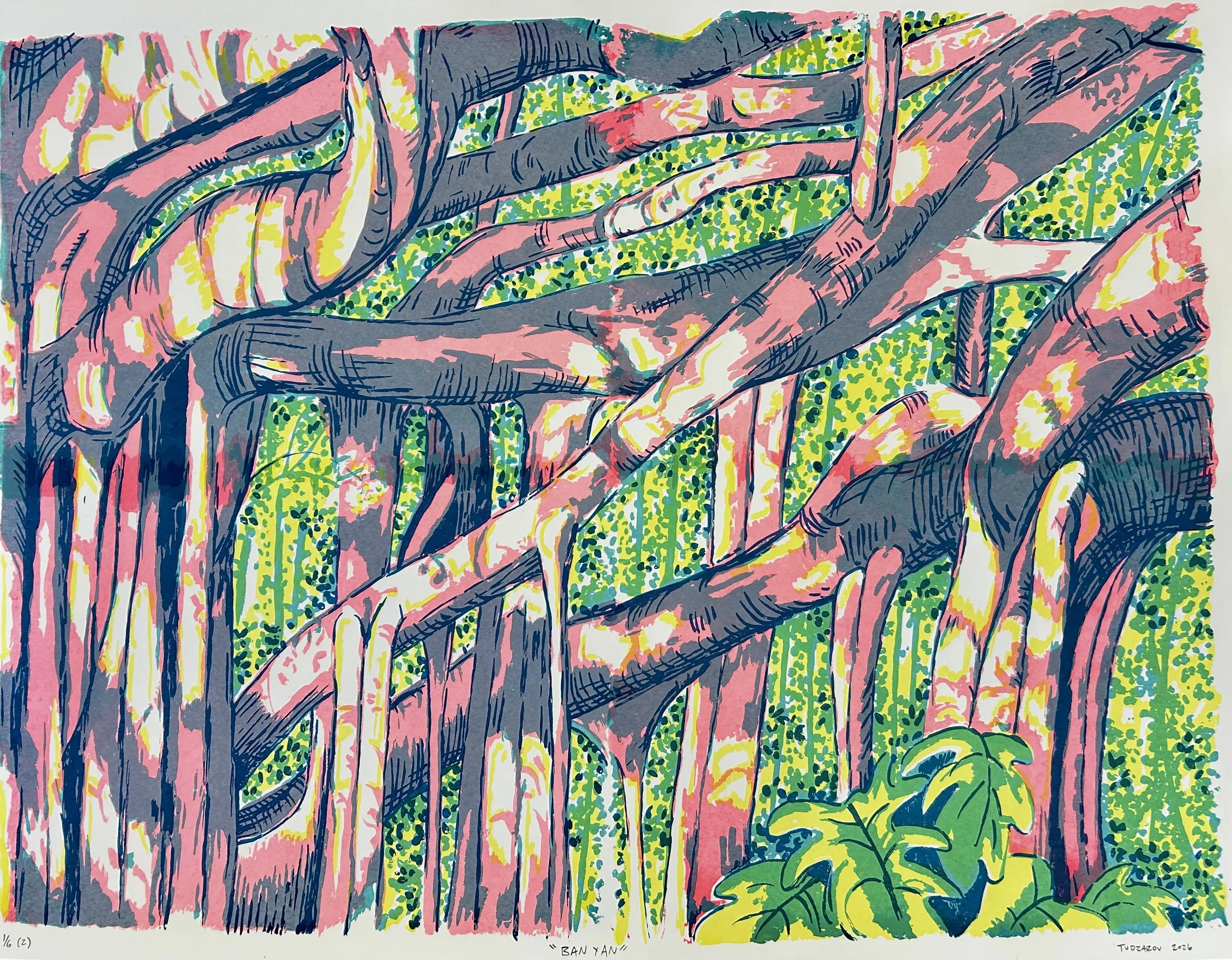Banyan%20%282%29.jpeg