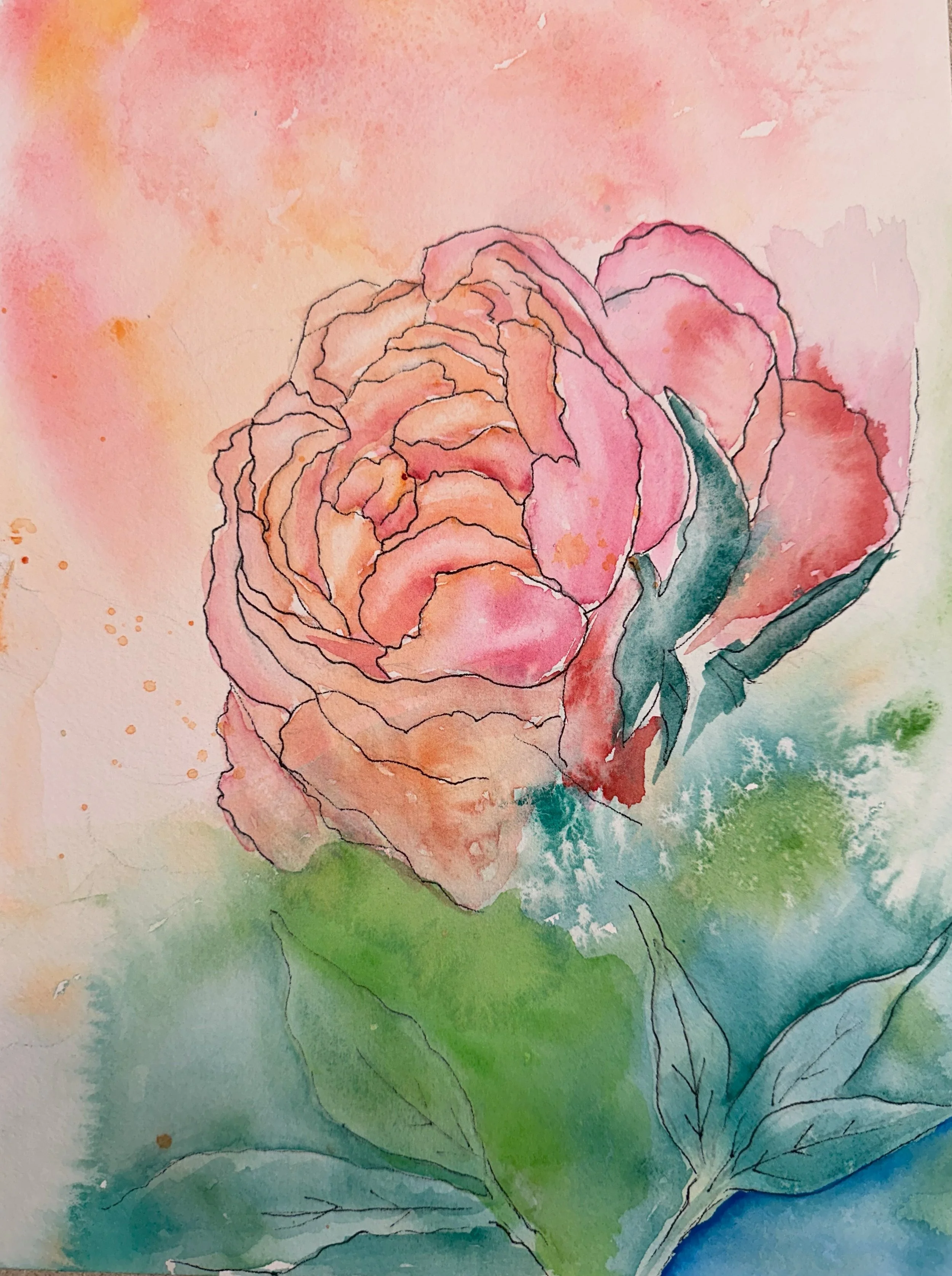 leinwohl_peony.jpg