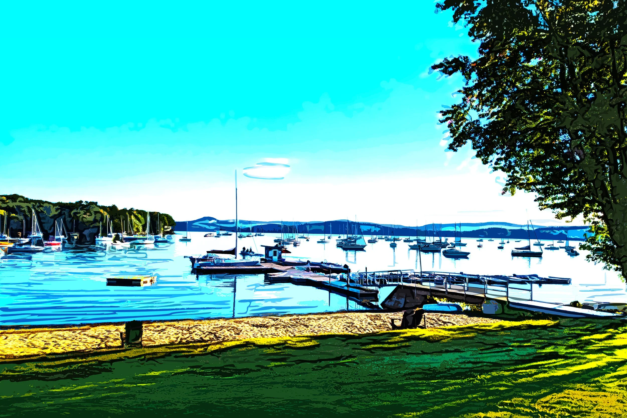 Anchored%20in%20Color.jpg