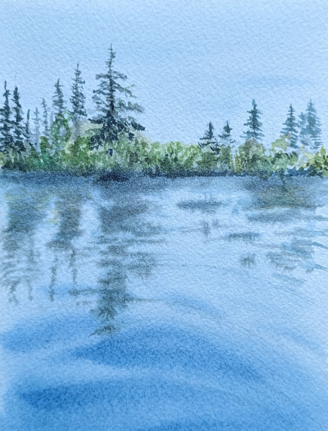 PXL_20260703_141746076.jpg