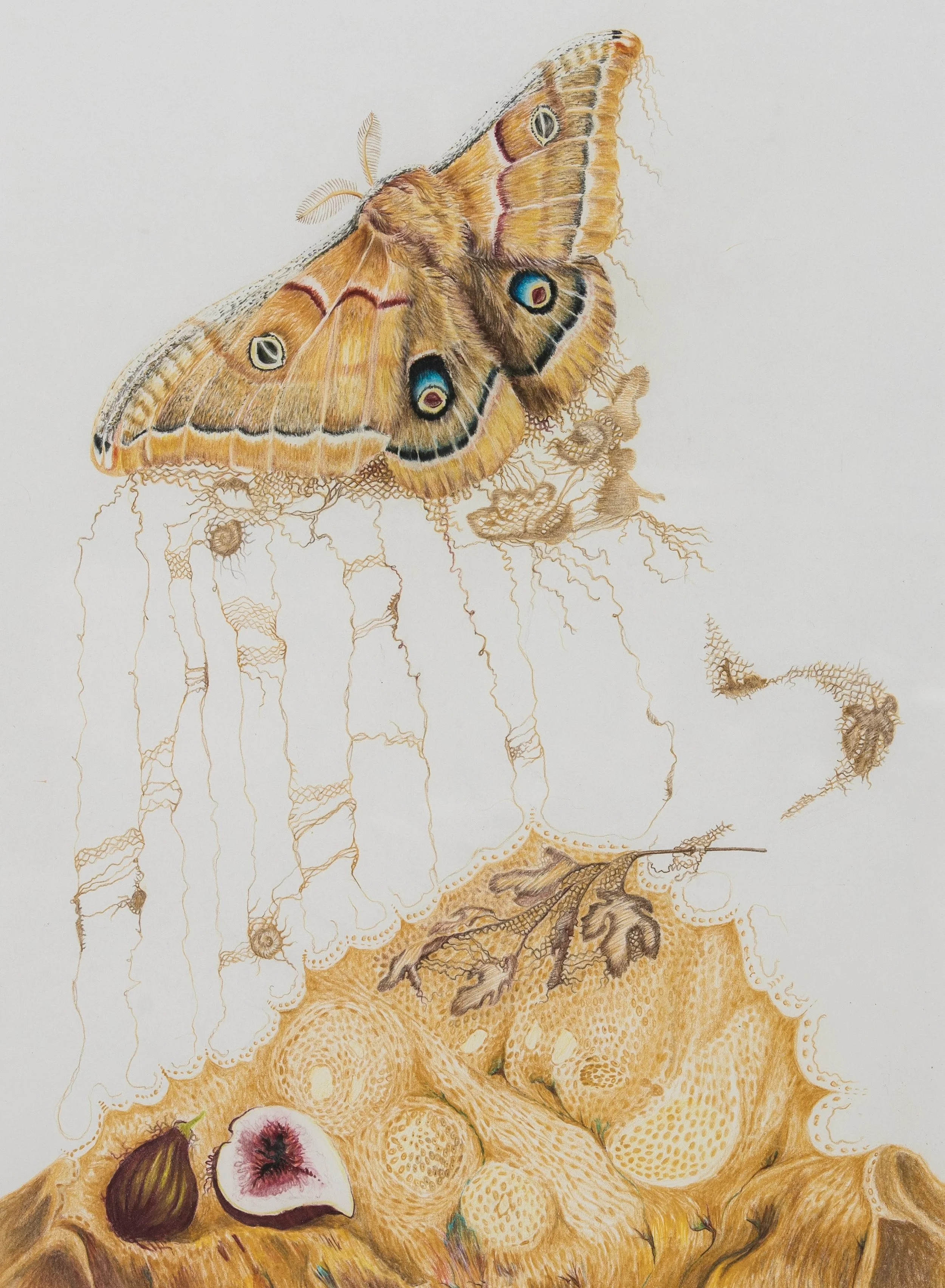 19_Elisa_ART_1_PRINT-01.jpg