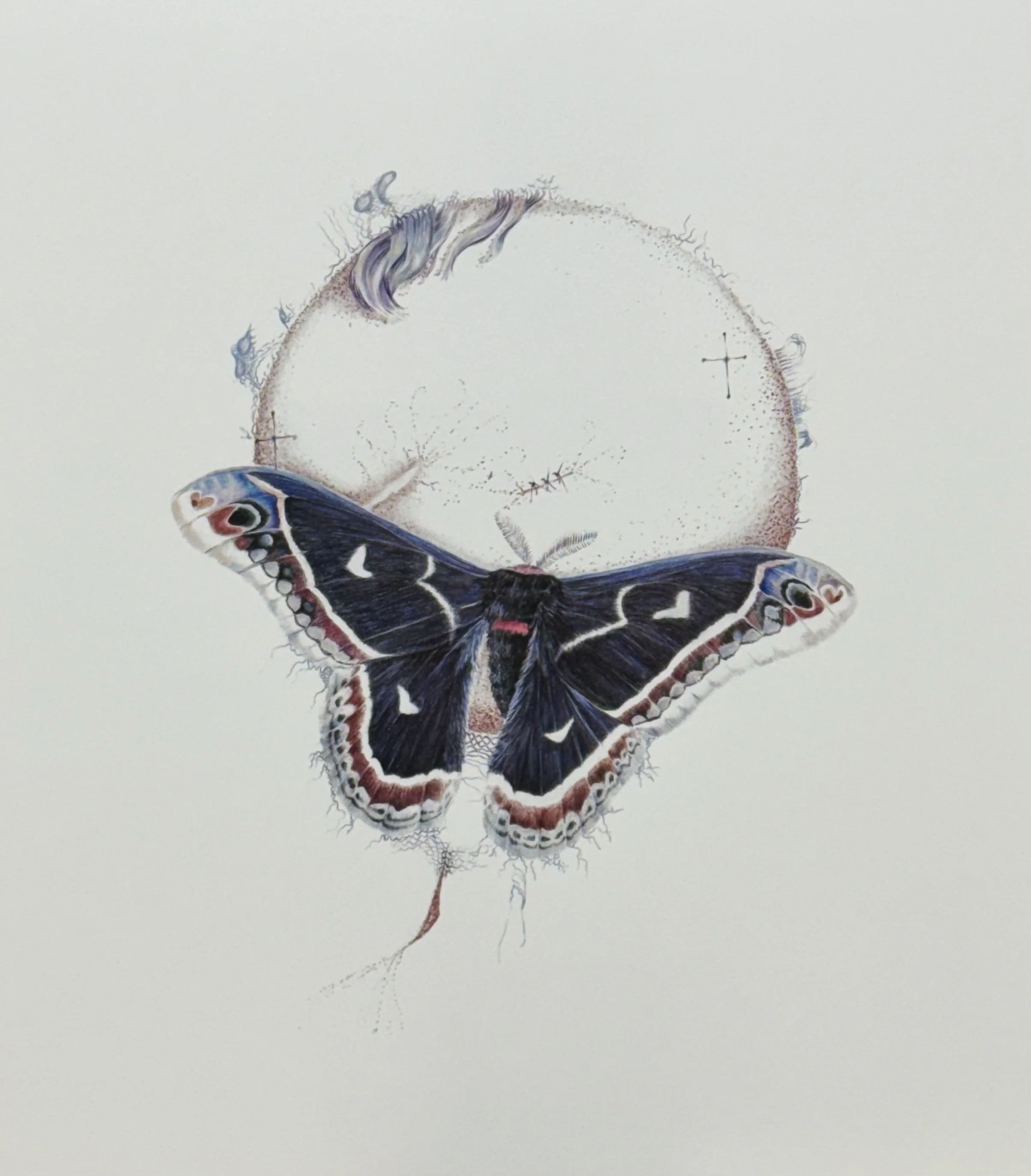PurpleMoth_HMPring_ArtHop.jpg