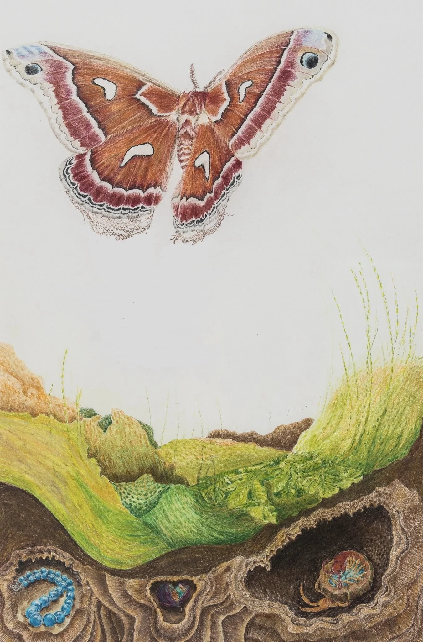 CecropiaDrawing_HMprint-ArtHop.jpg