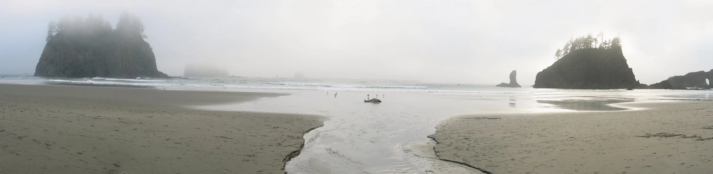 Second%20Beach%20in%20Fog%20copy.jpg