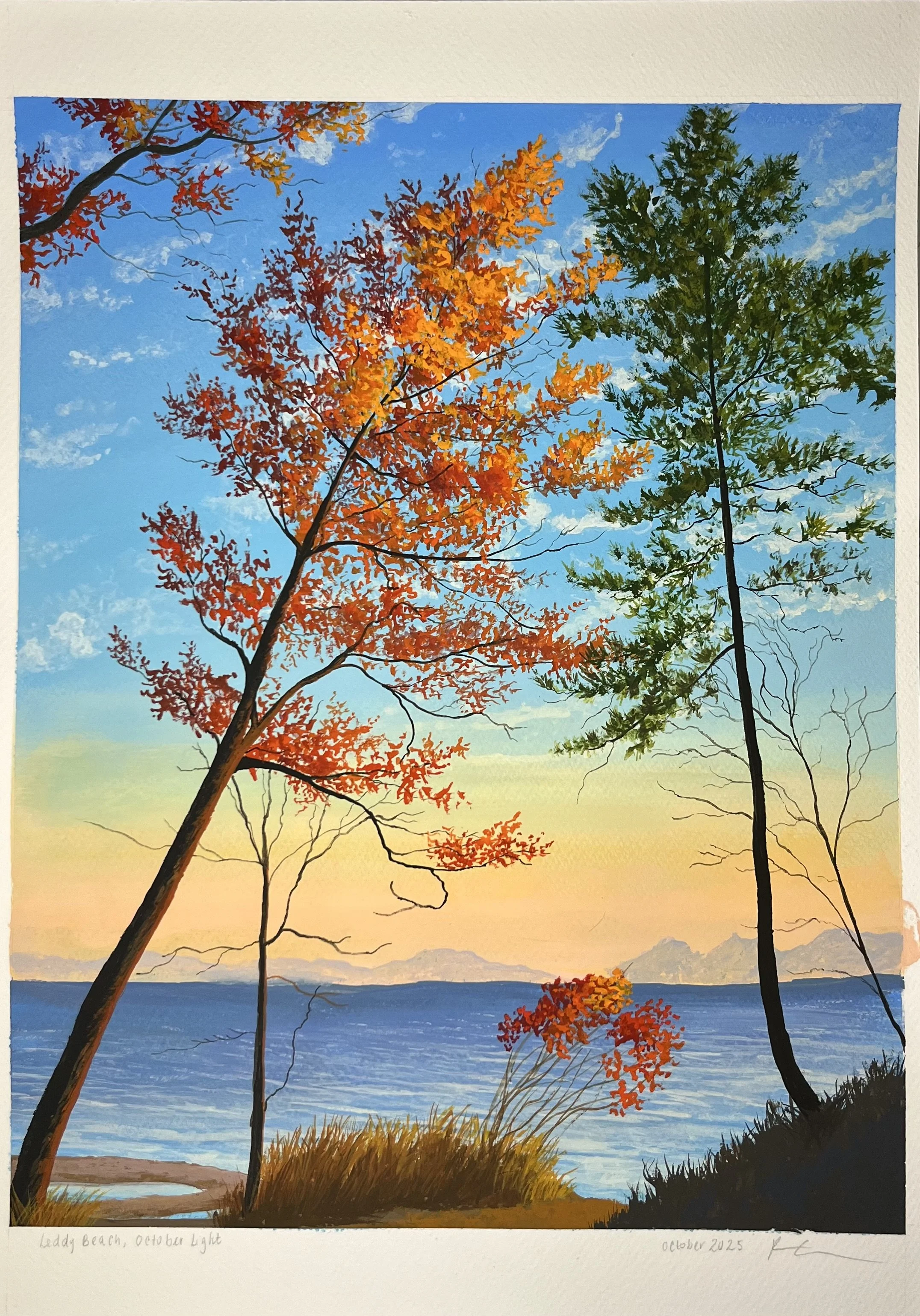IMG_7184.jpeg