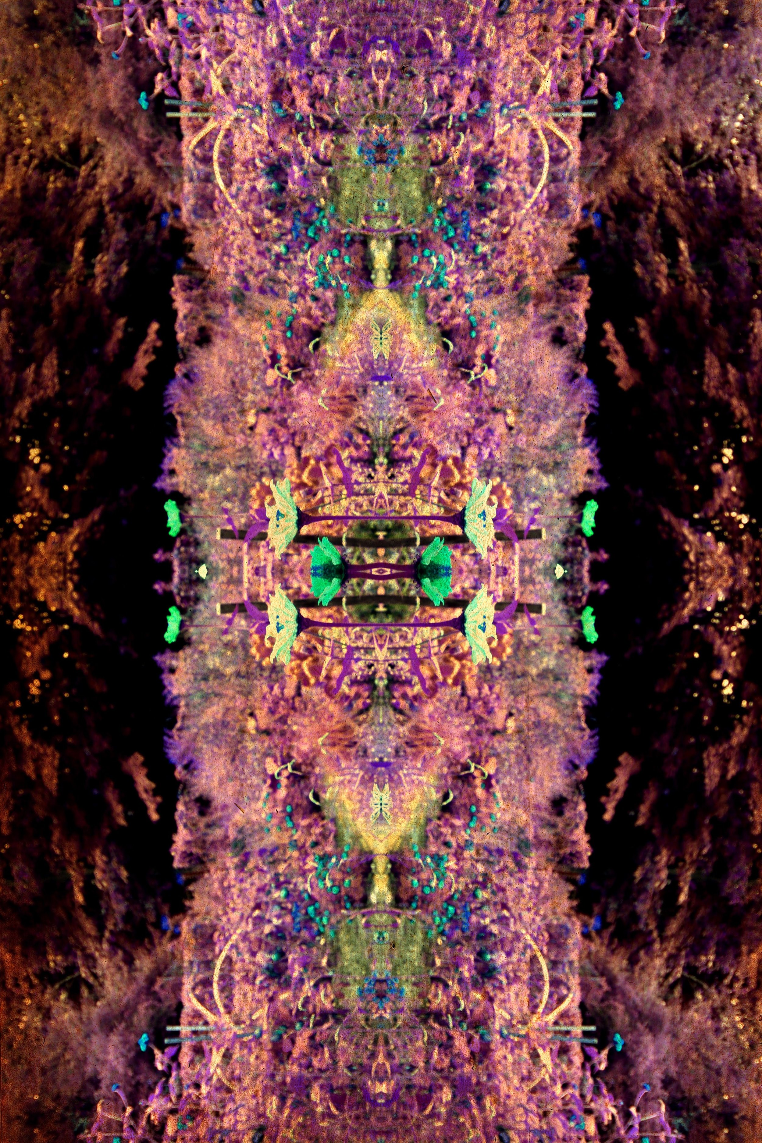 Magenta%20Oracle%20%E2%80%94%20The%20Threshold%20Between.jpeg