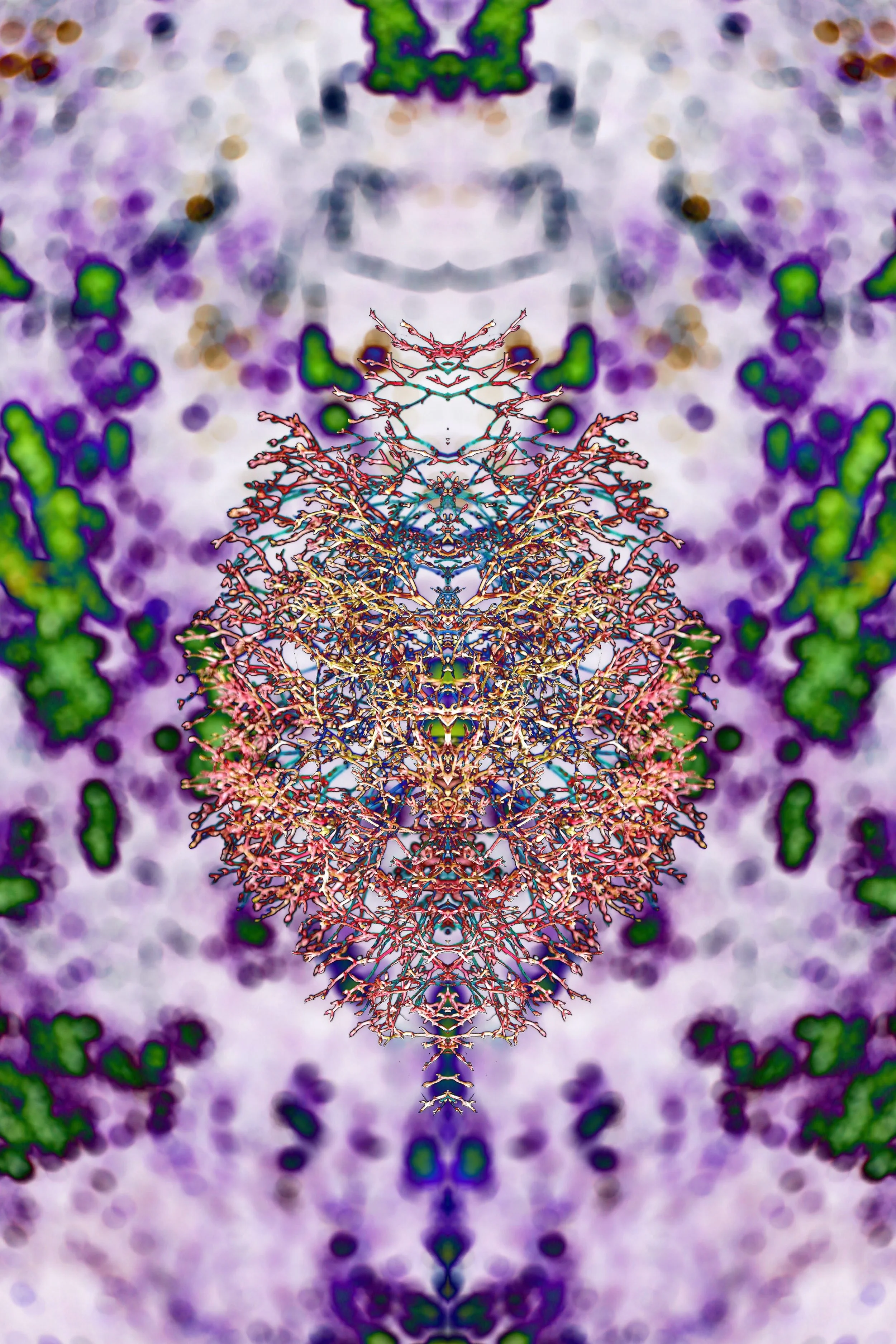 Winn%2C%20Julie_Nature%27s%20Brain.jpg