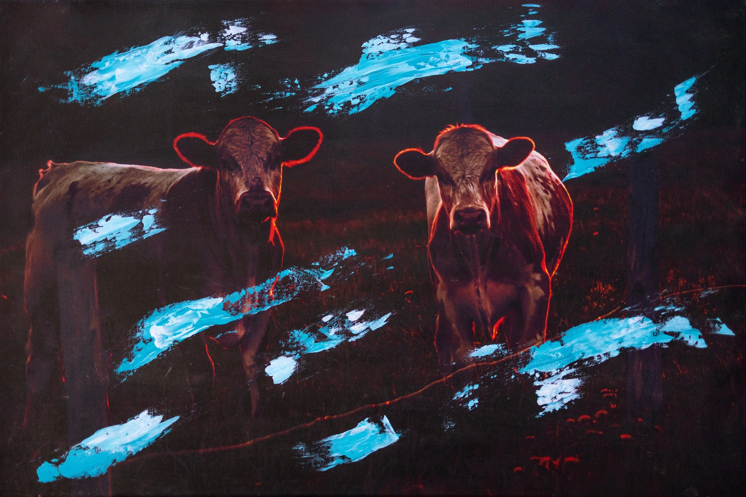 cowpaint.jpg
