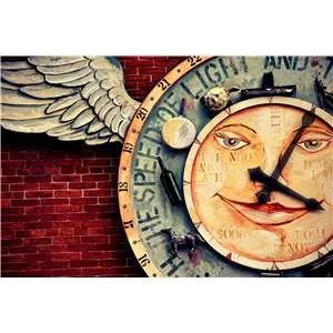 65. 'Time Flies', Photo by Cate Nicholas