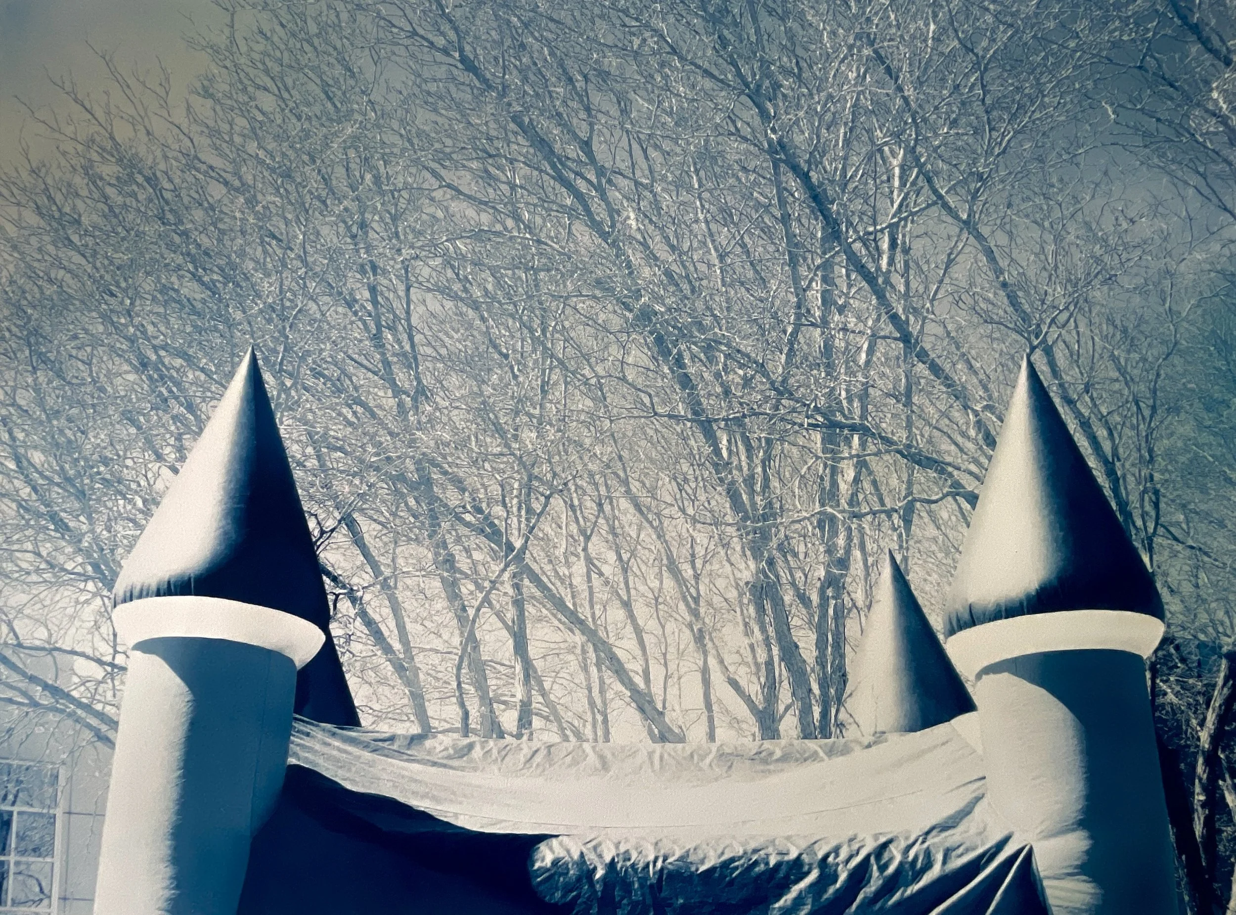 102. 'Looking Up', cyanotype by Noah Burns