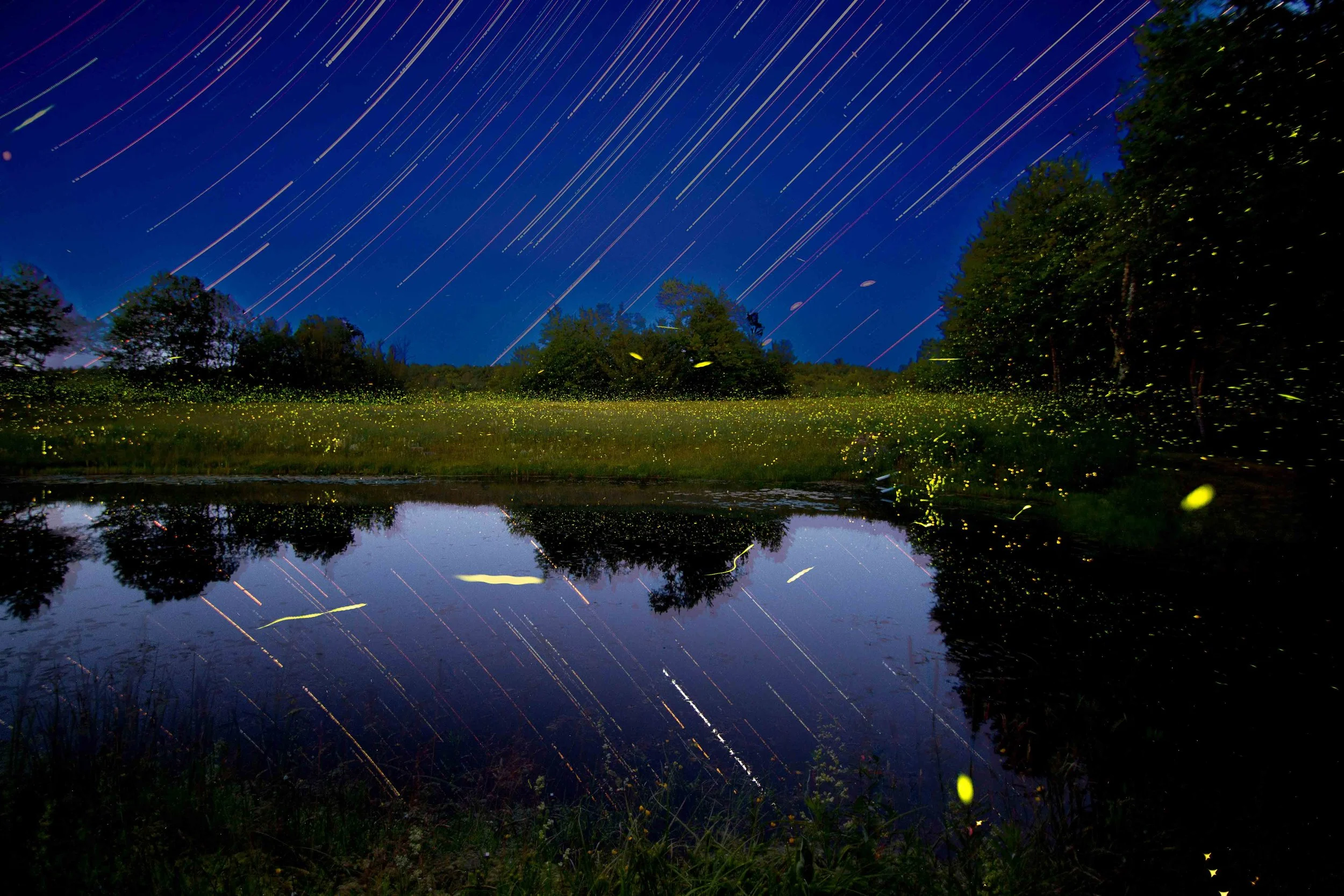 80. 'Summer Night Lights', Photography by Pamela Hunt
