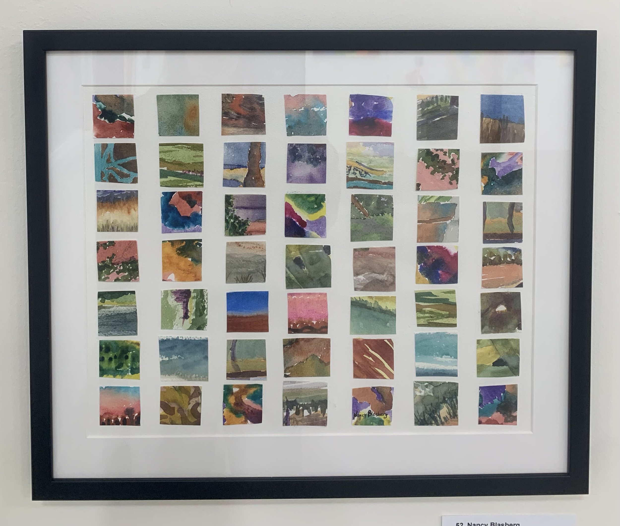 'Color Conservation' by Nancy Blasberg