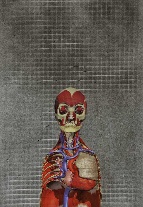   'Adrift 2'   2014  42x60cm  Print &amp; Collage on paper  