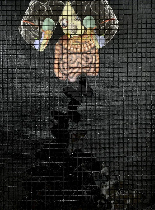   'Flutter no More'   2015  42x60cm  Print &amp; Collage on paper  