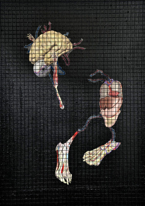   'Voiceless Void 2'   2016  60x85cm Print, collage, wire on board 