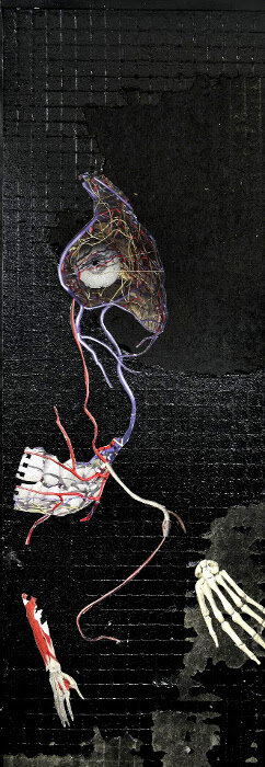   'Releifless'    2016  30x85cm  Print &amp; Collage on paper   