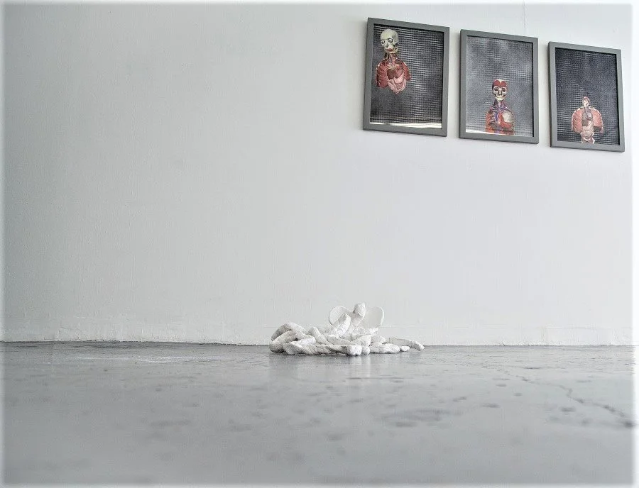 Adrift 1,2,3 2014 & Prisinors of Affect 2017 kathryn kelly (@Sample-Studios) (2).jpg