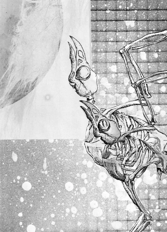 'THEY SEE' 2023 Digital Collage.jpg