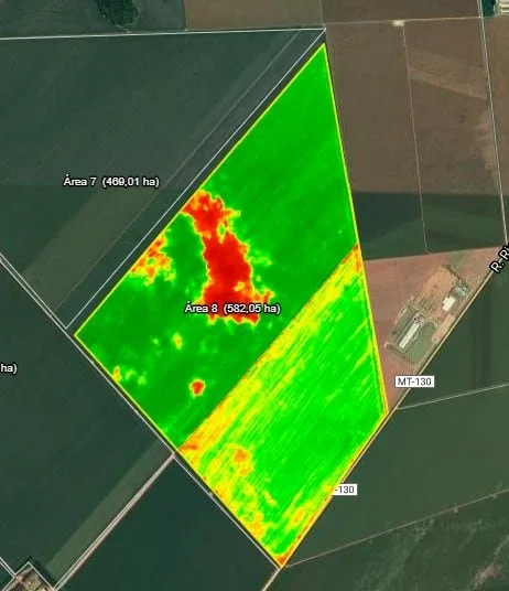 NDVI gfrbrgenfnte.jpeg