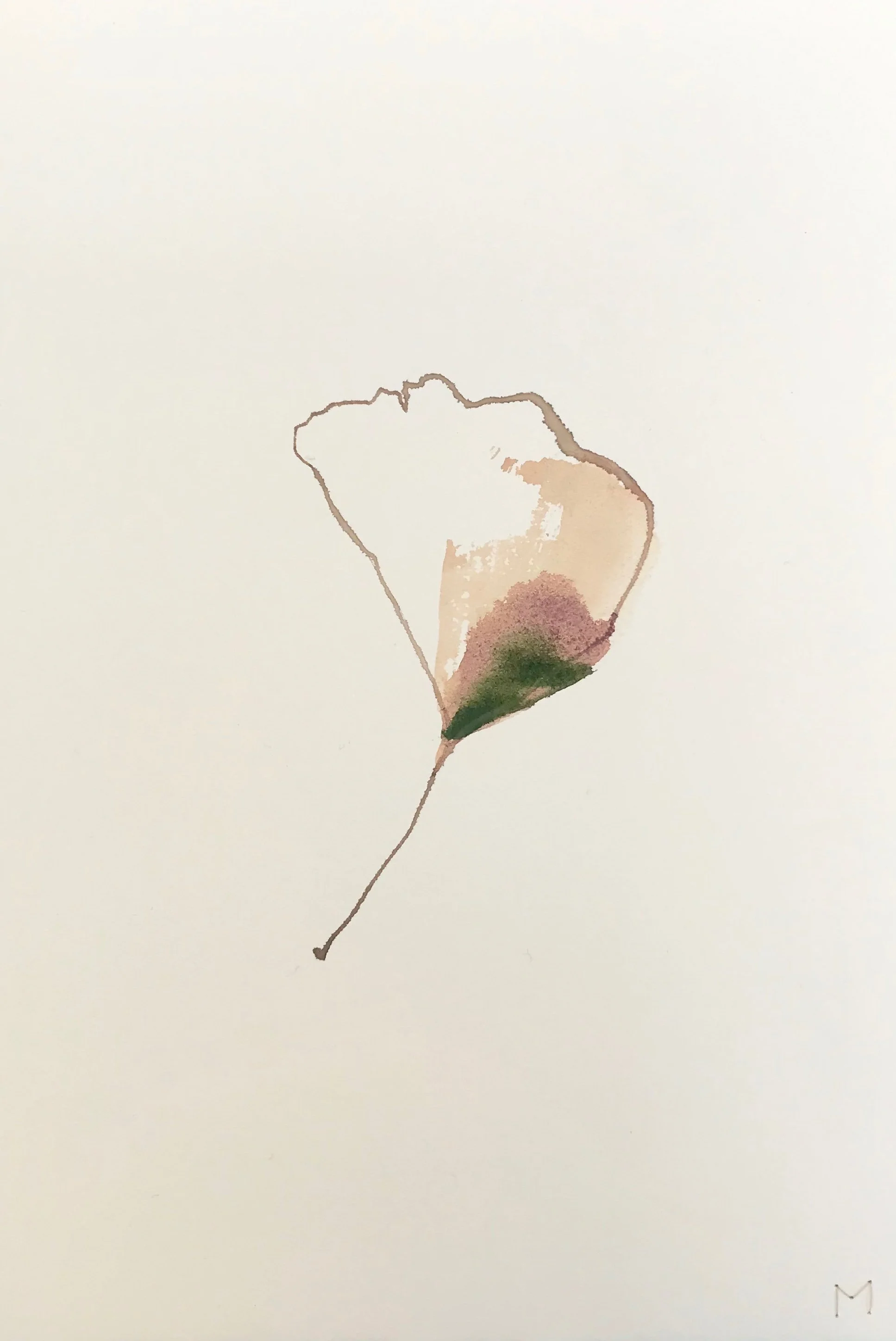 Ginkgo #5