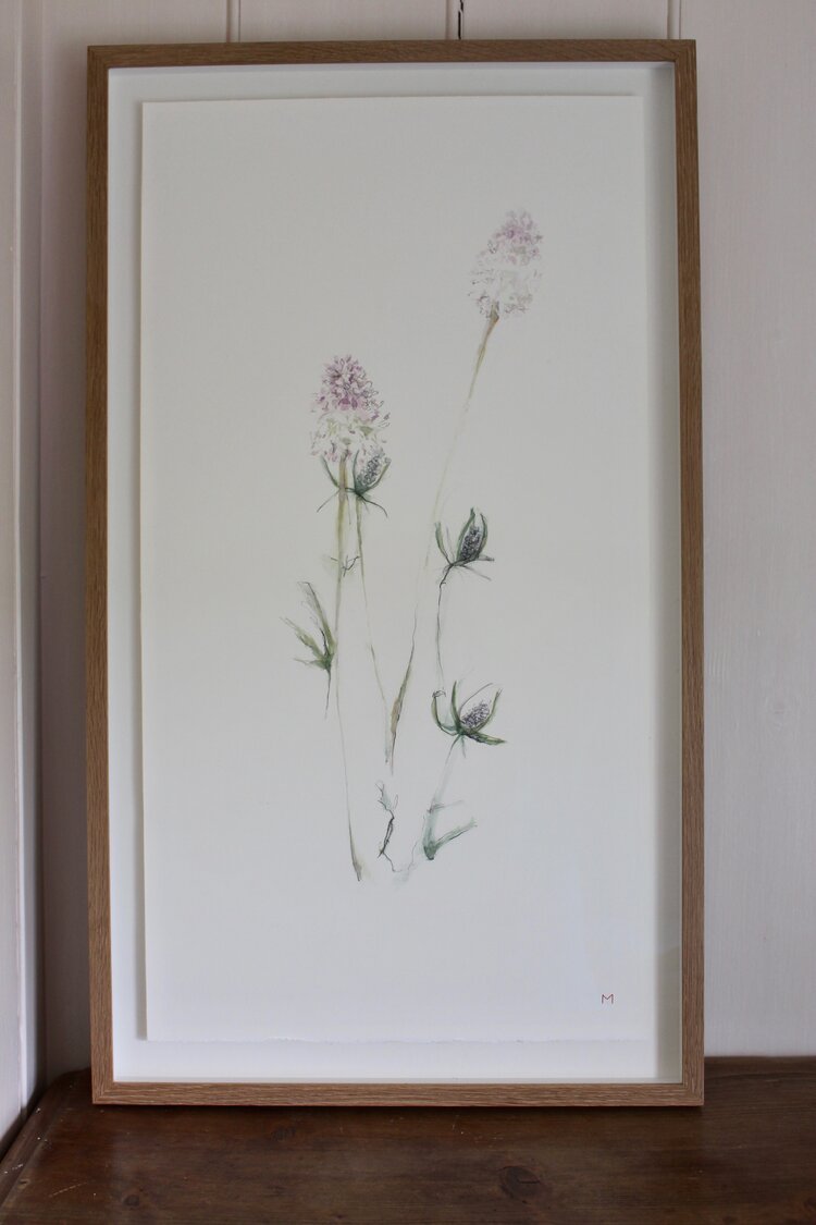 Allium+and+Sea+Holly+float+mounted+oak+frame+44cm+x+76cm.jpg