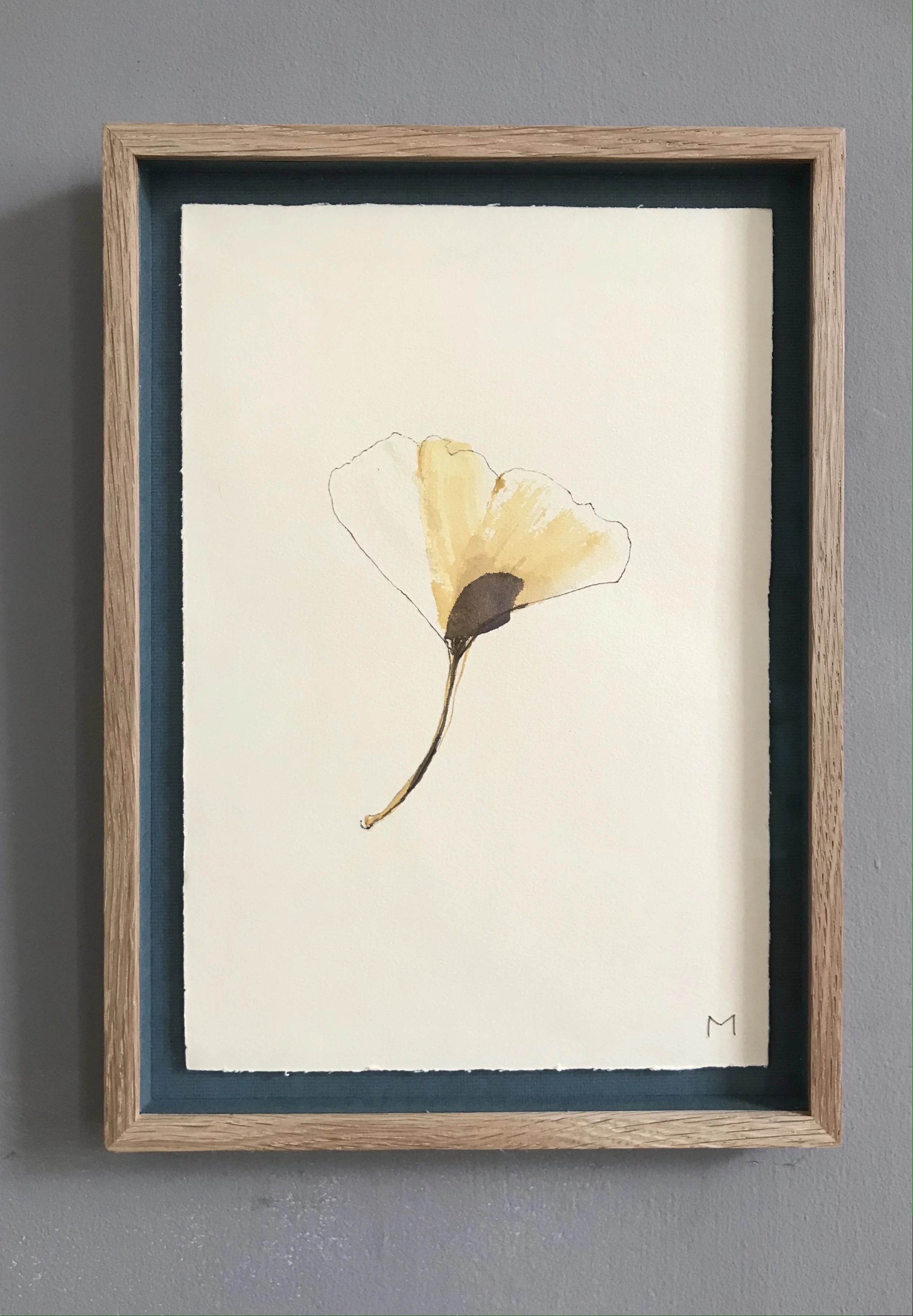 <b>Ginkgo framed with Nitrogen-Blue Shadow Gap</b></p>'The colour is being lost from the leaf</p>with the margin still visible,</p>echoing the loss of</p>biodiversity we see</p>Prof Steve Kelly</p>