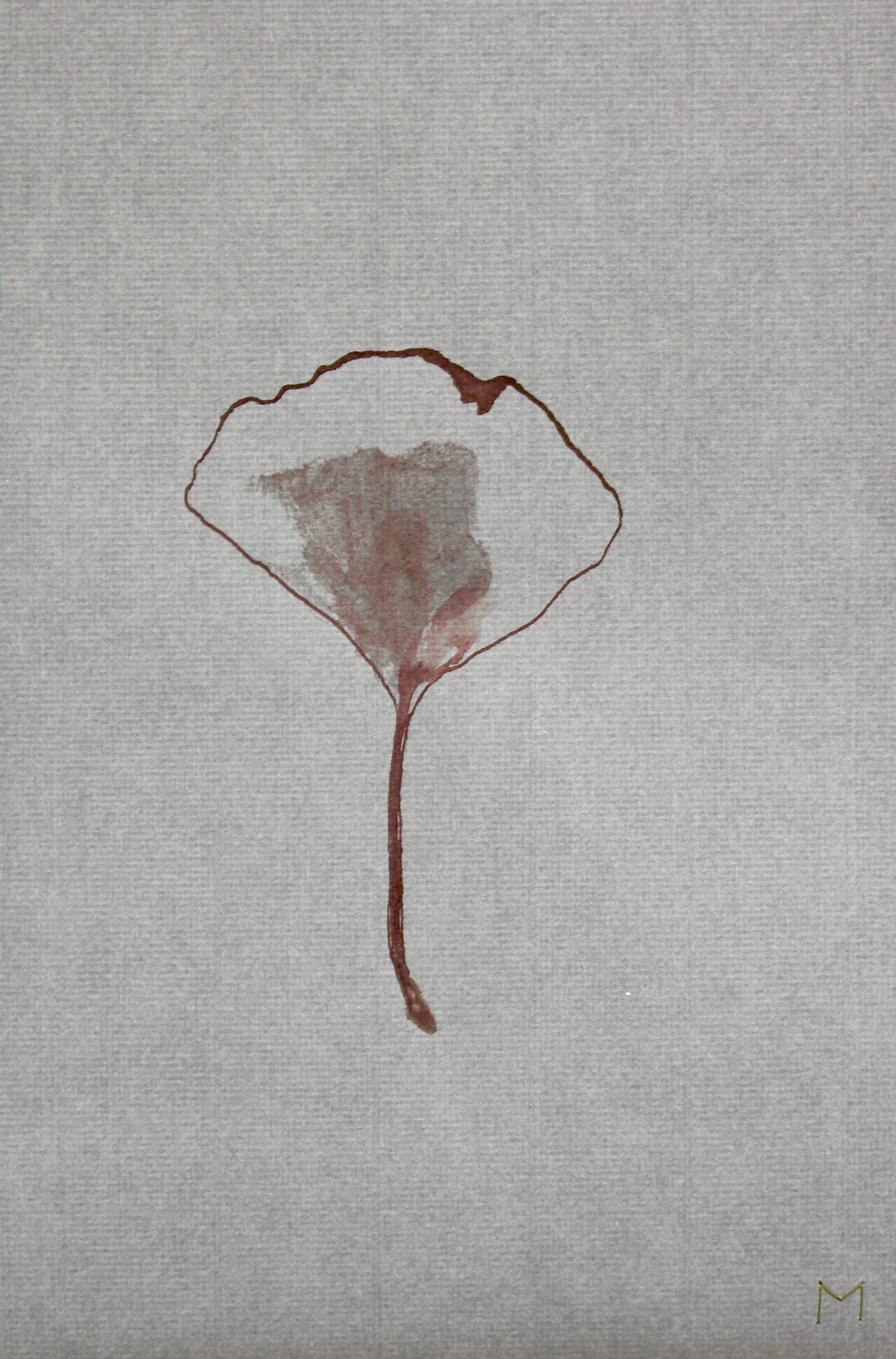 Ginkgo#20 Graphite Powder