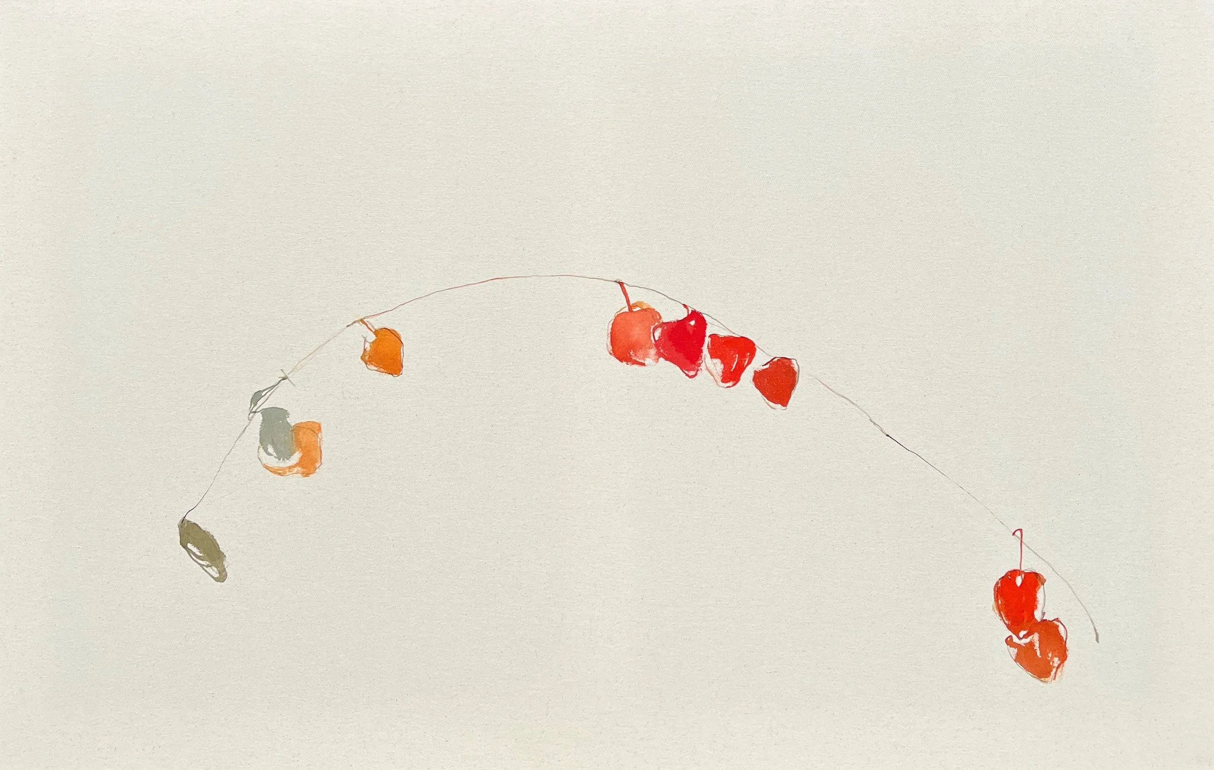 Up, Down! (Physalis)