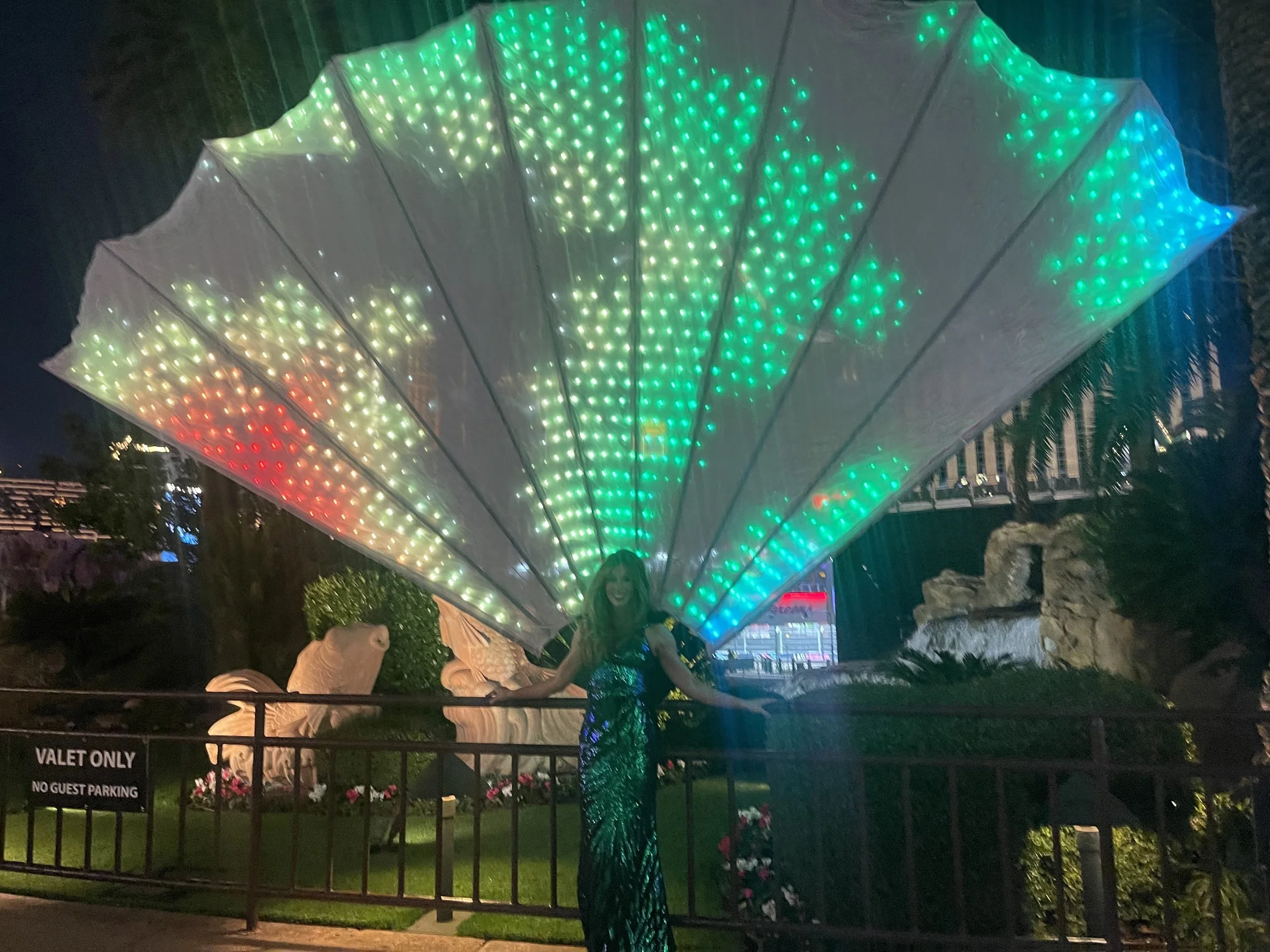 atmo led peacock.jpg