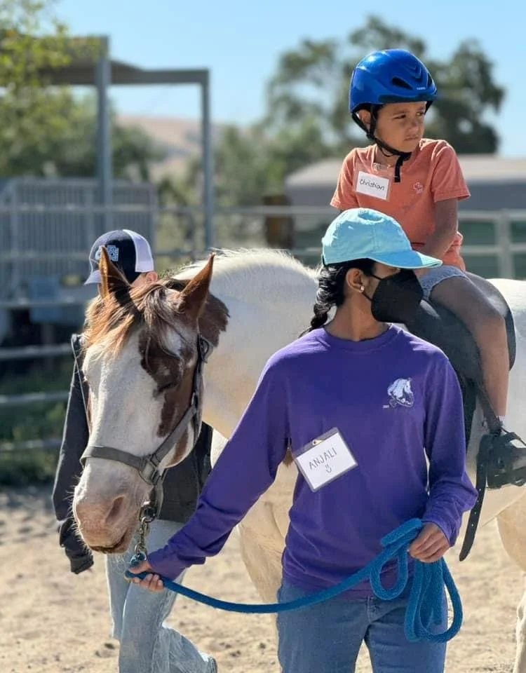 DreamPower Horsemanship