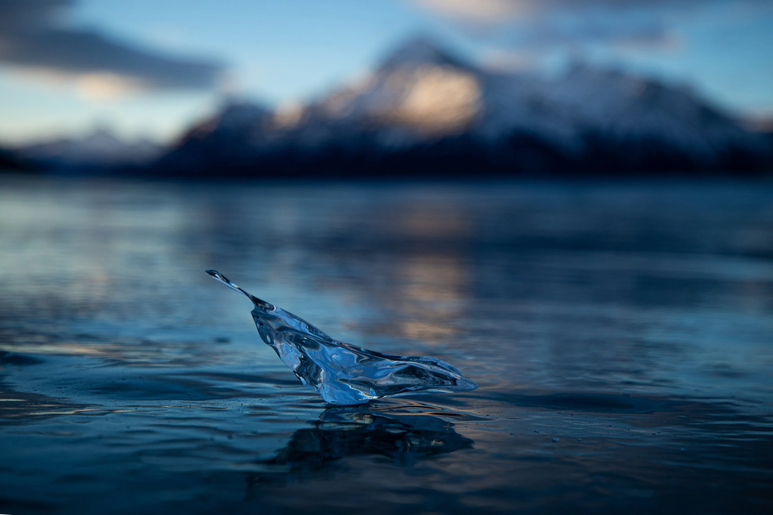 Mountain Wild - Abraham Lake Ice