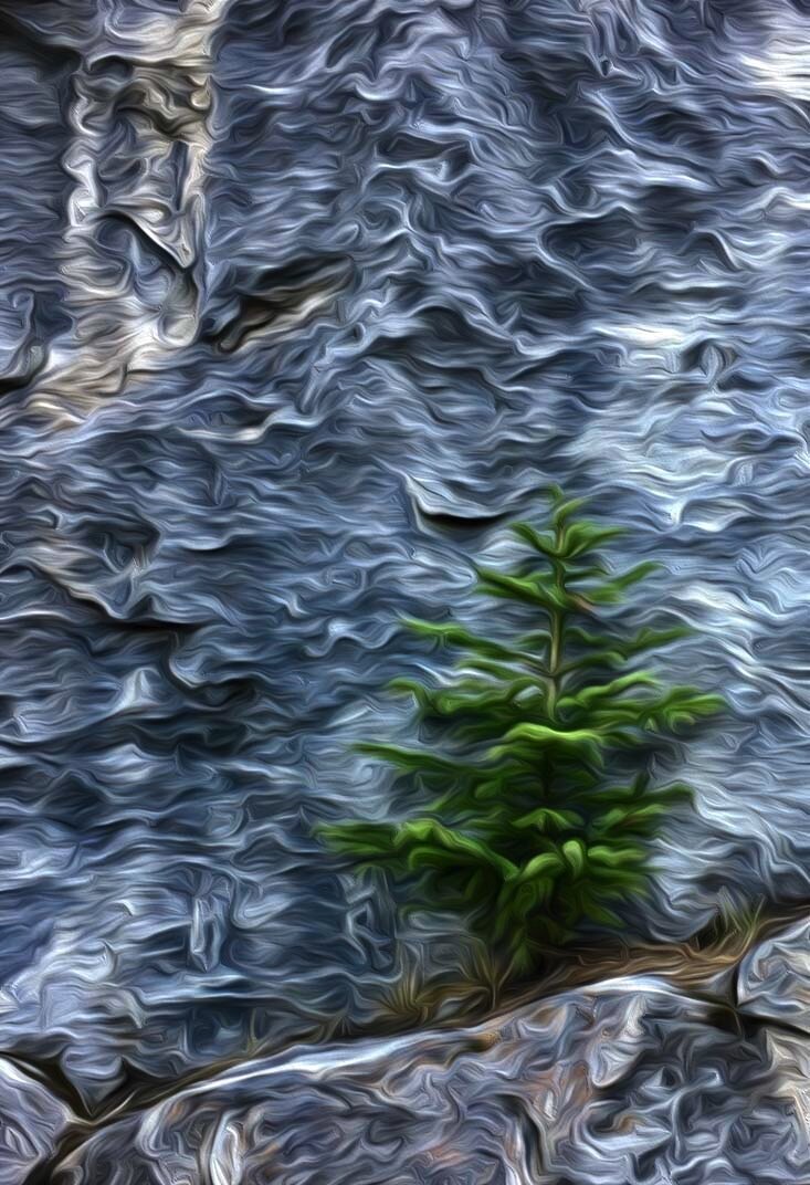 F7689549-6A40-4941-9CF1-E8D6B41B915D.jpeg