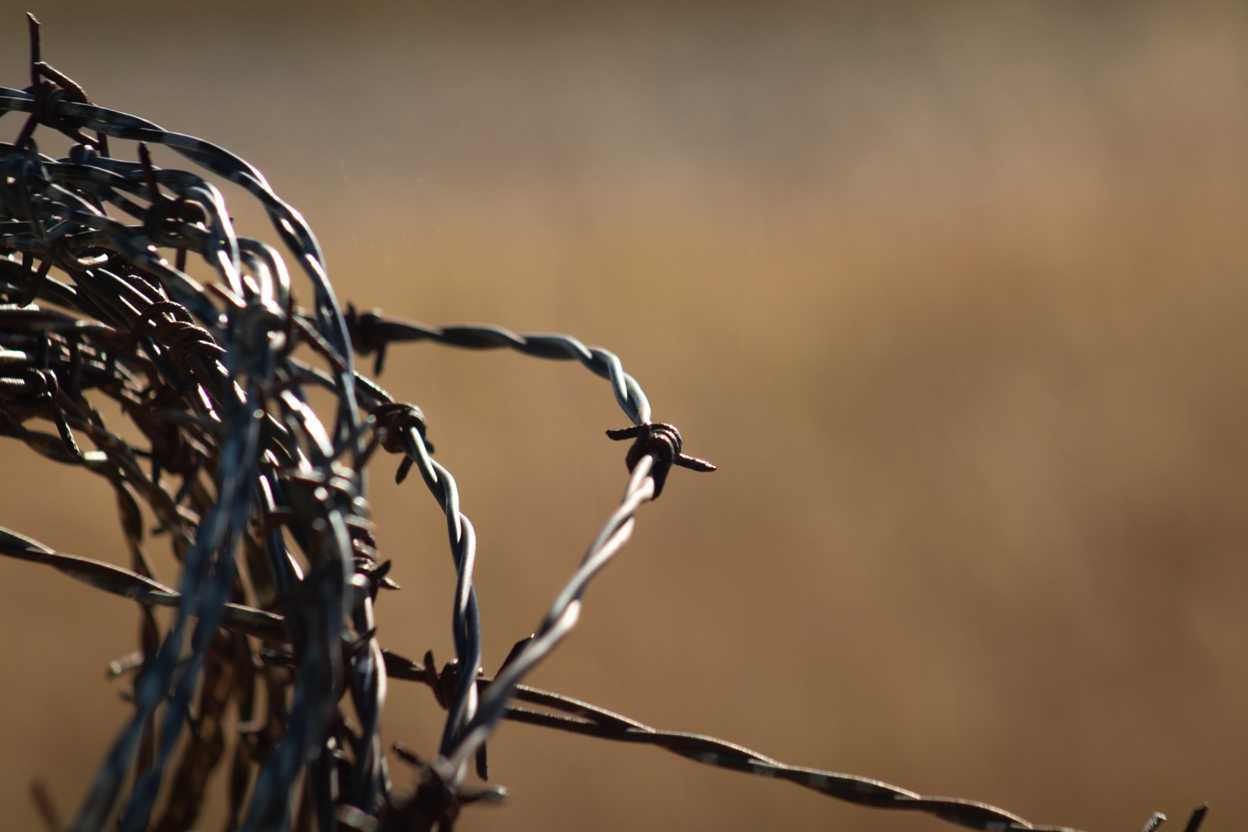 Barbed Wire-1.jpg