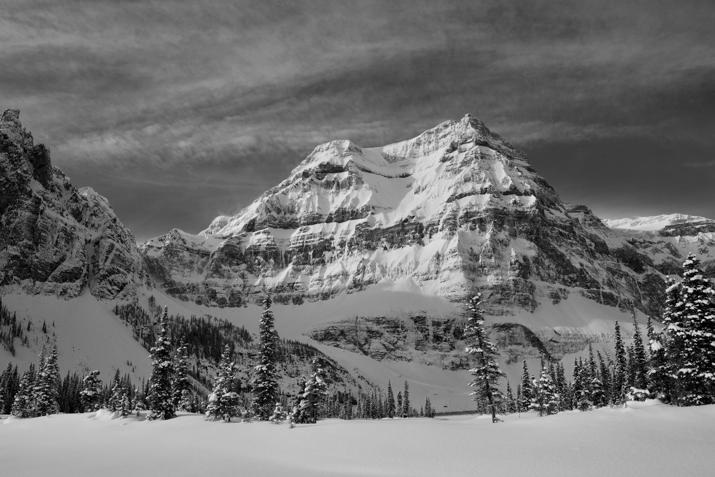Mountain Wild Mount Ball BNP